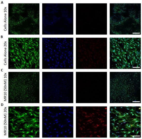 Pharmaceutics 12 01219 g0a3