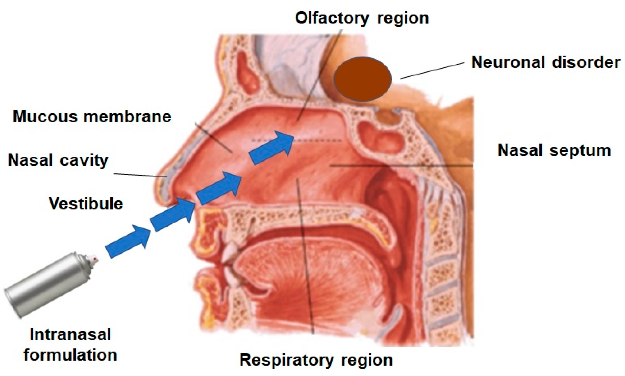 Pharmaceutics 12 01230 g002
