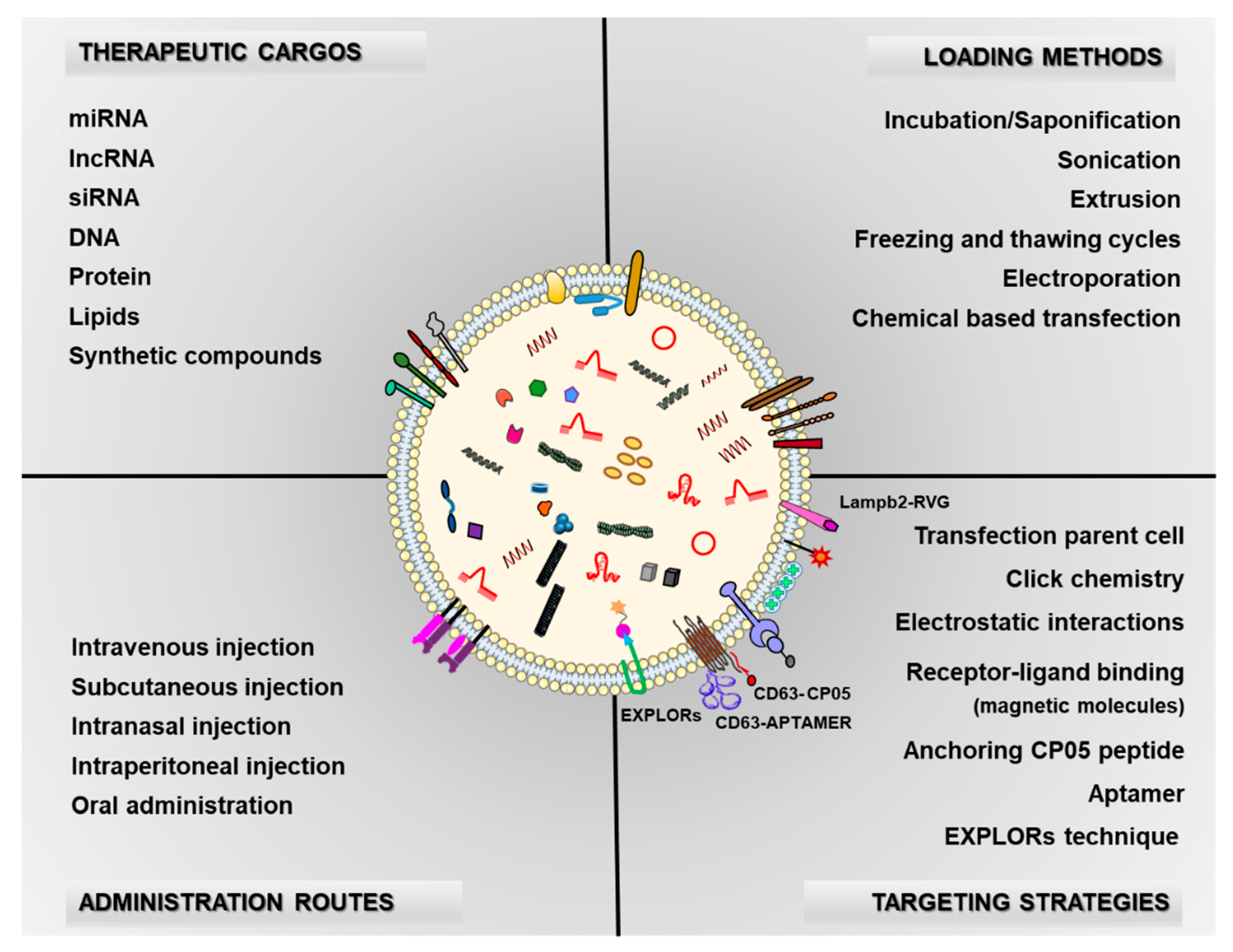 Pharmaceutics 13 00003 g002