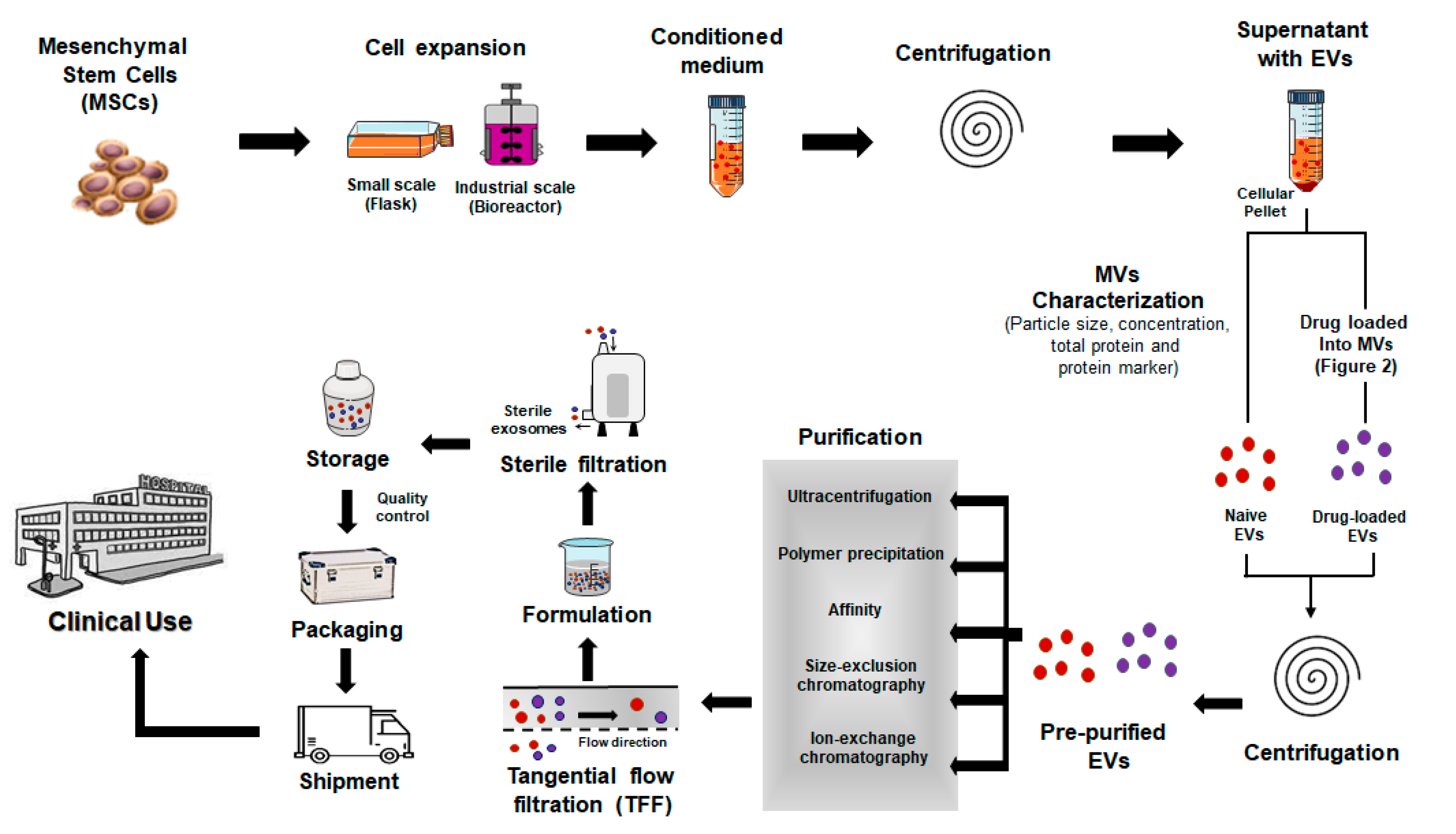 Pharmaceutics 13 00003 g004