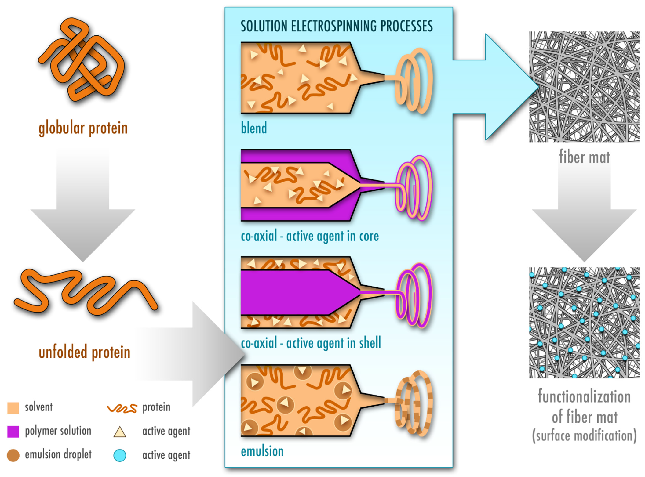 Pharmaceutics 13 00004 g003 Pharmaceutics 13 00004 g003