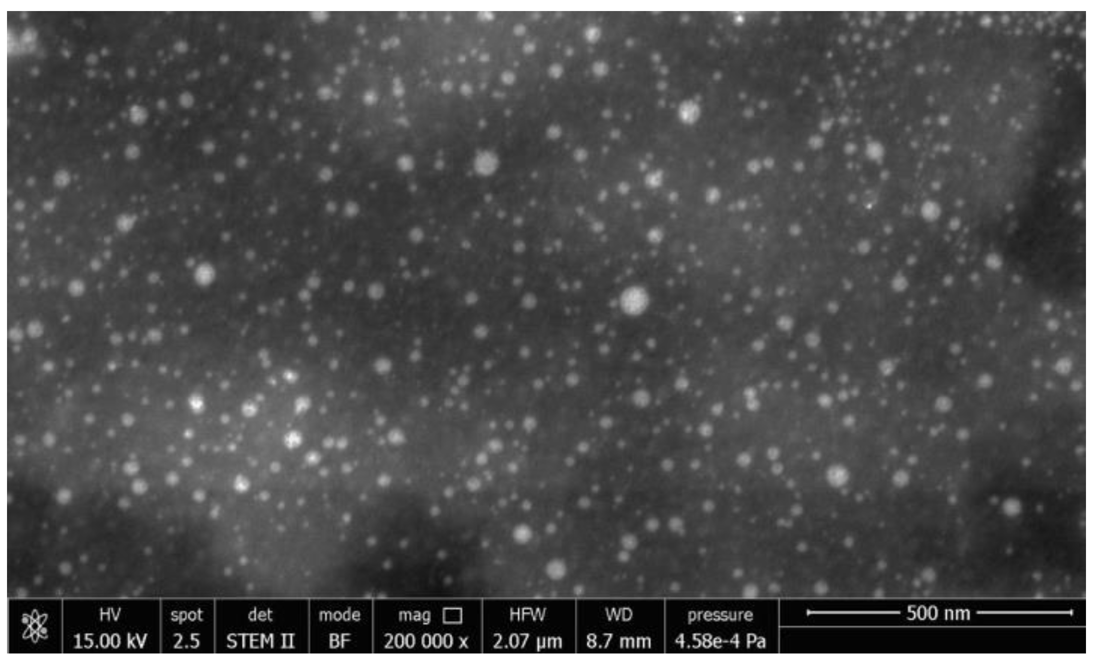 Pharmaceutics 13 00005 g001
