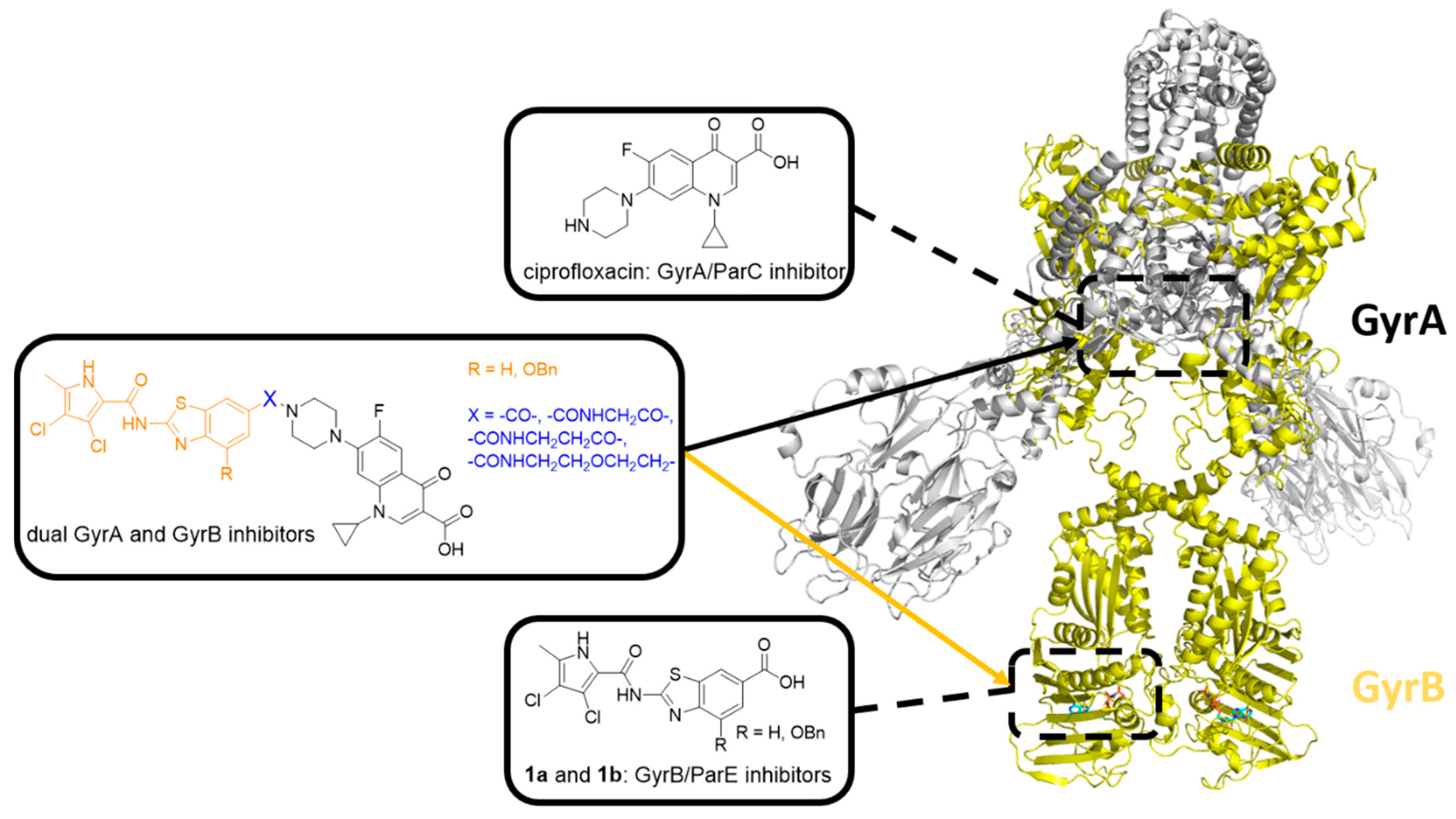 Pharmaceutics 13 00006 g001 Pharmaceutics 13 00006 g001