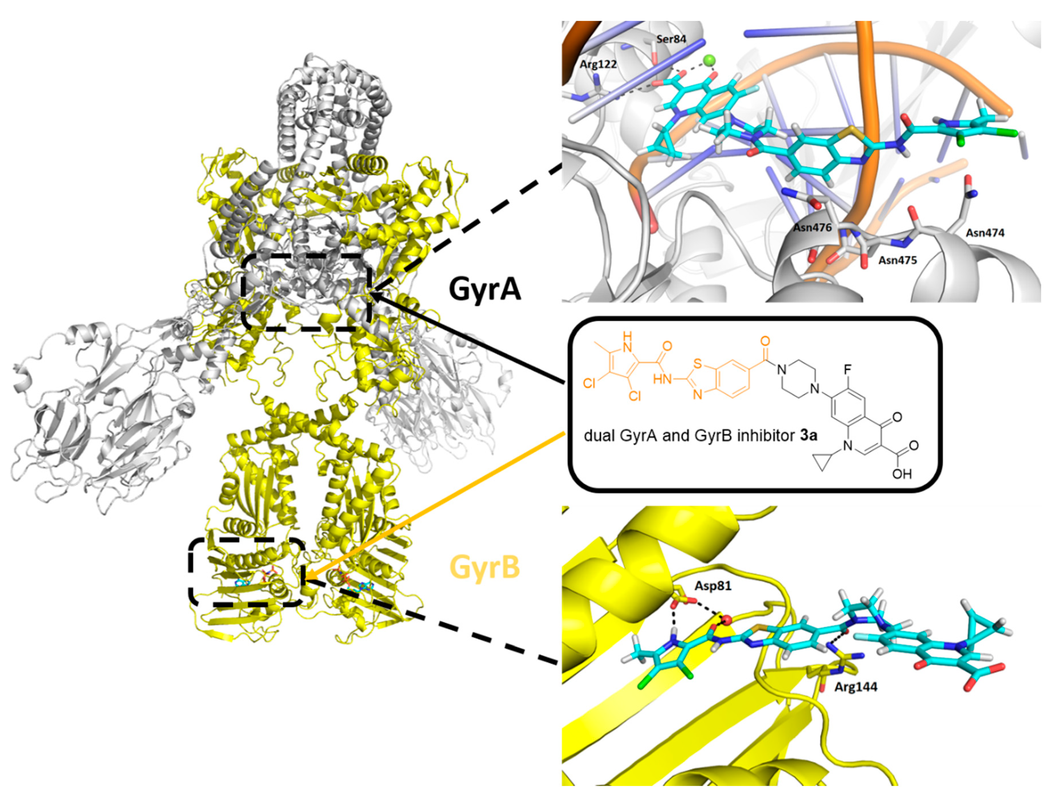 Pharmaceutics 13 00006 g002 Pharmaceutics 13 00006 g002
