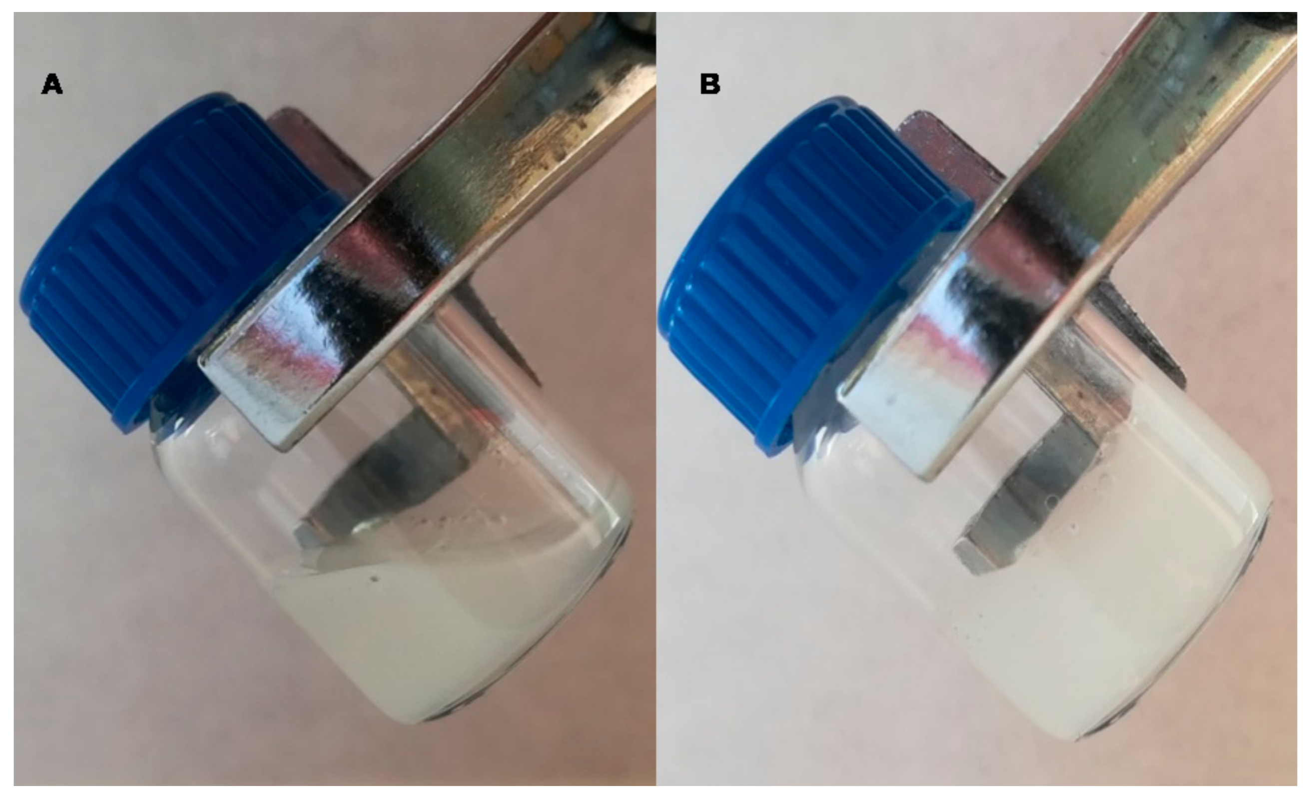 Pharmaceutics 13 00008 g001