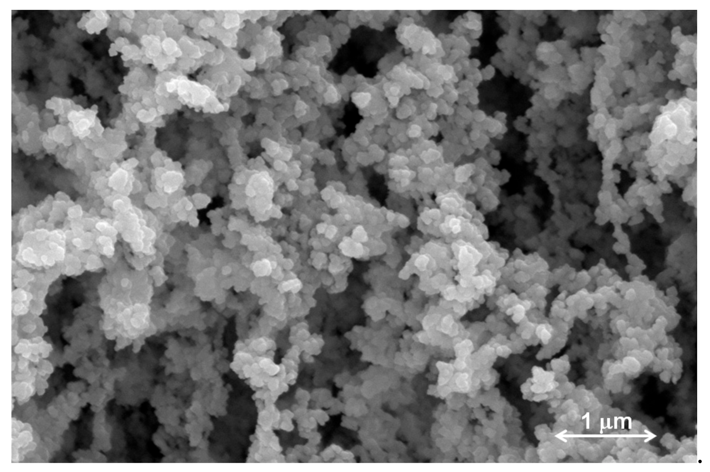 Pharmaceutics 13 00008 g002