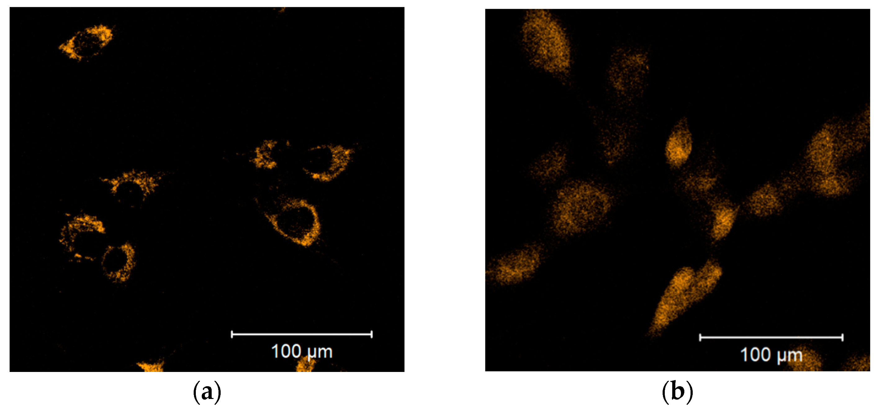 Pharmaceutics 13 00010 g003