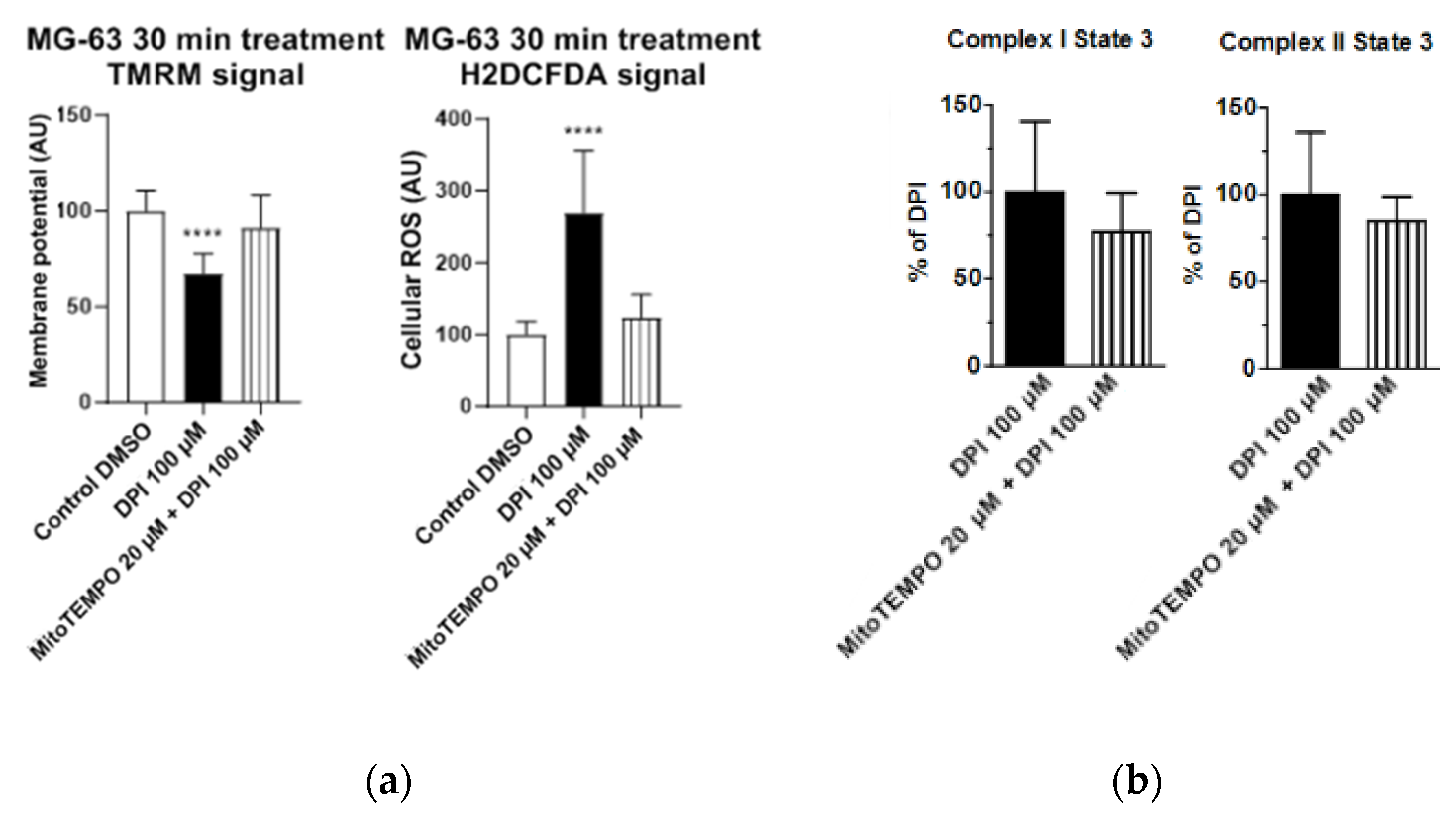 Pharmaceutics 13 00010 g004