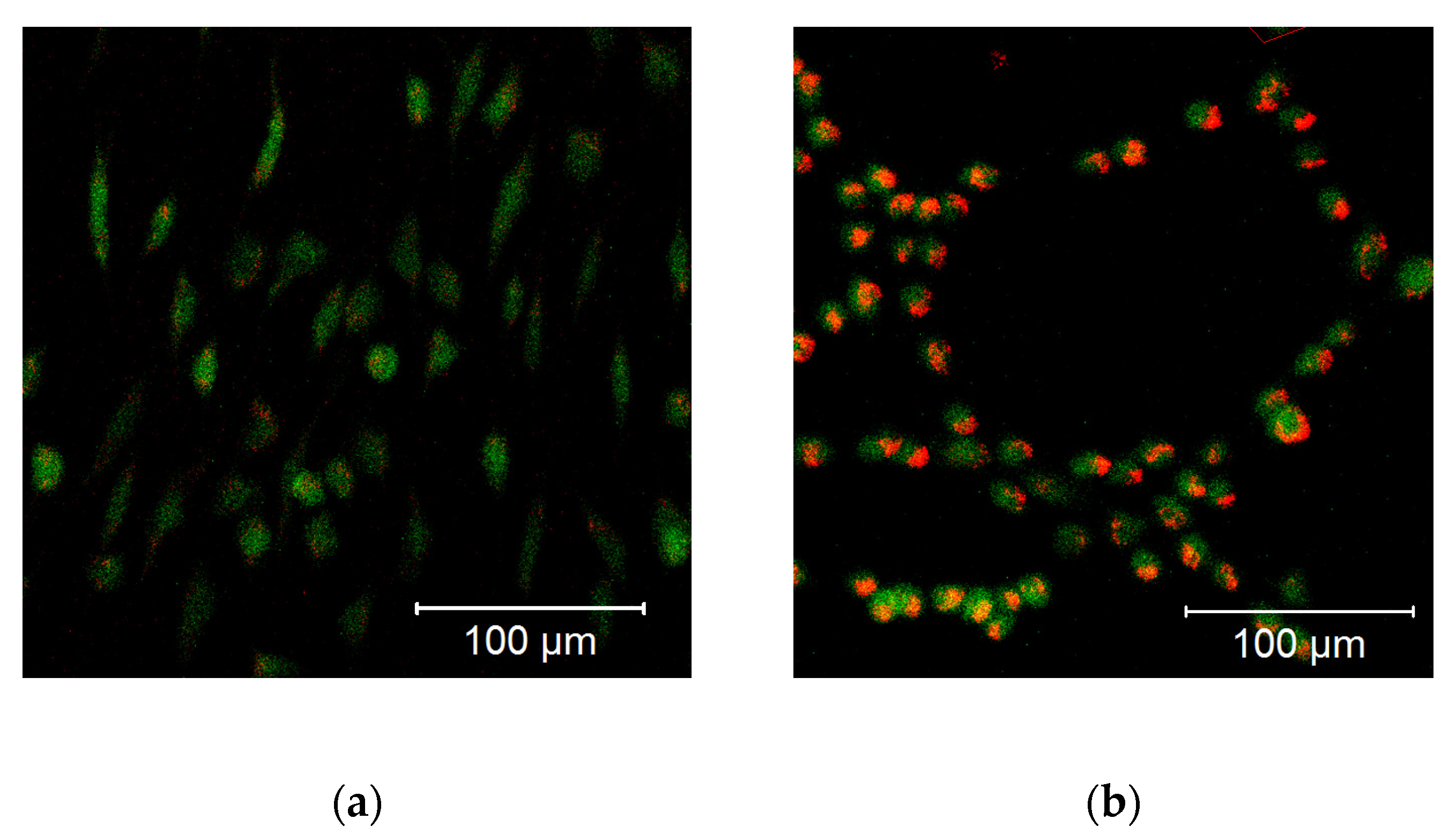 Pharmaceutics 13 00010 g013