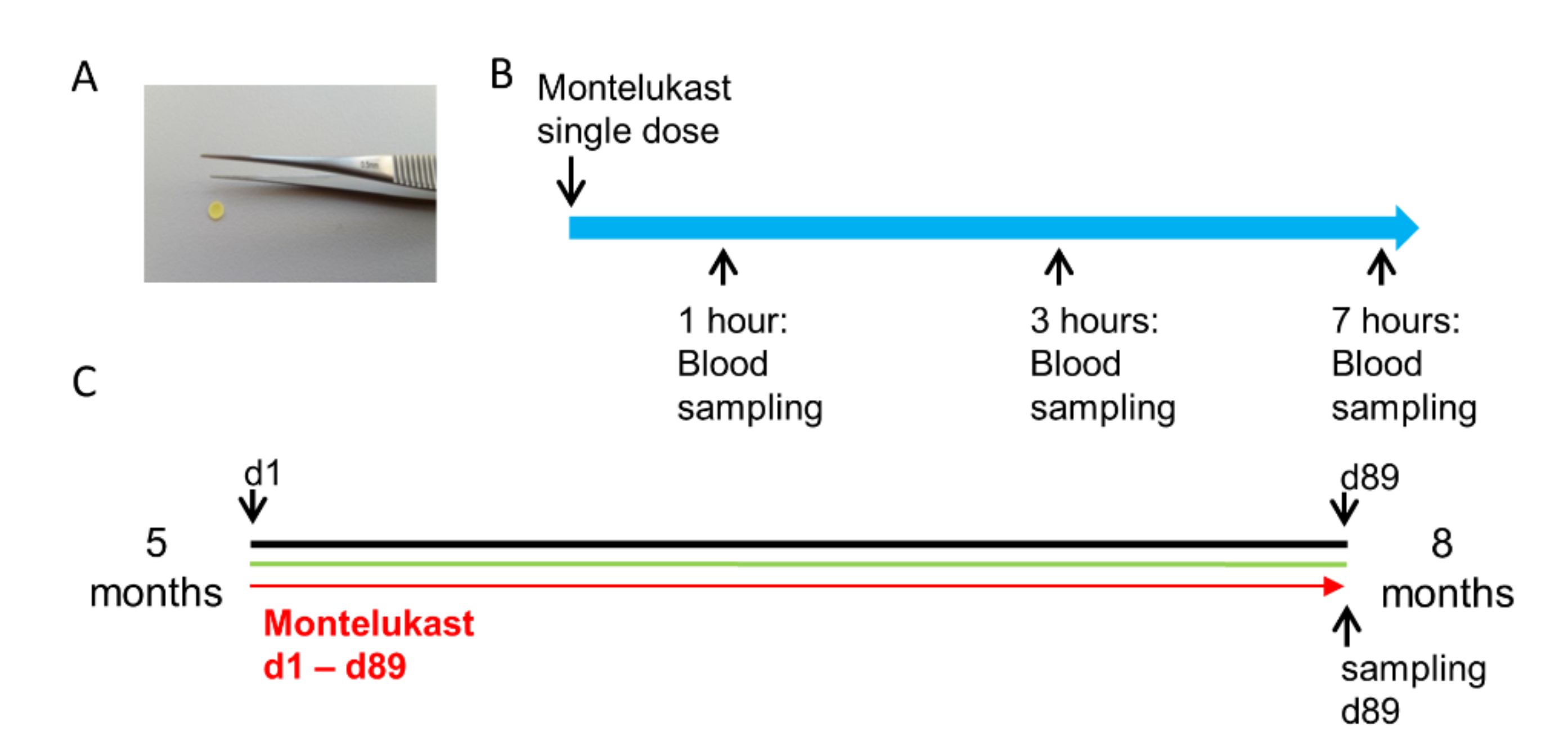 Pharmaceutics 13 00012 g003