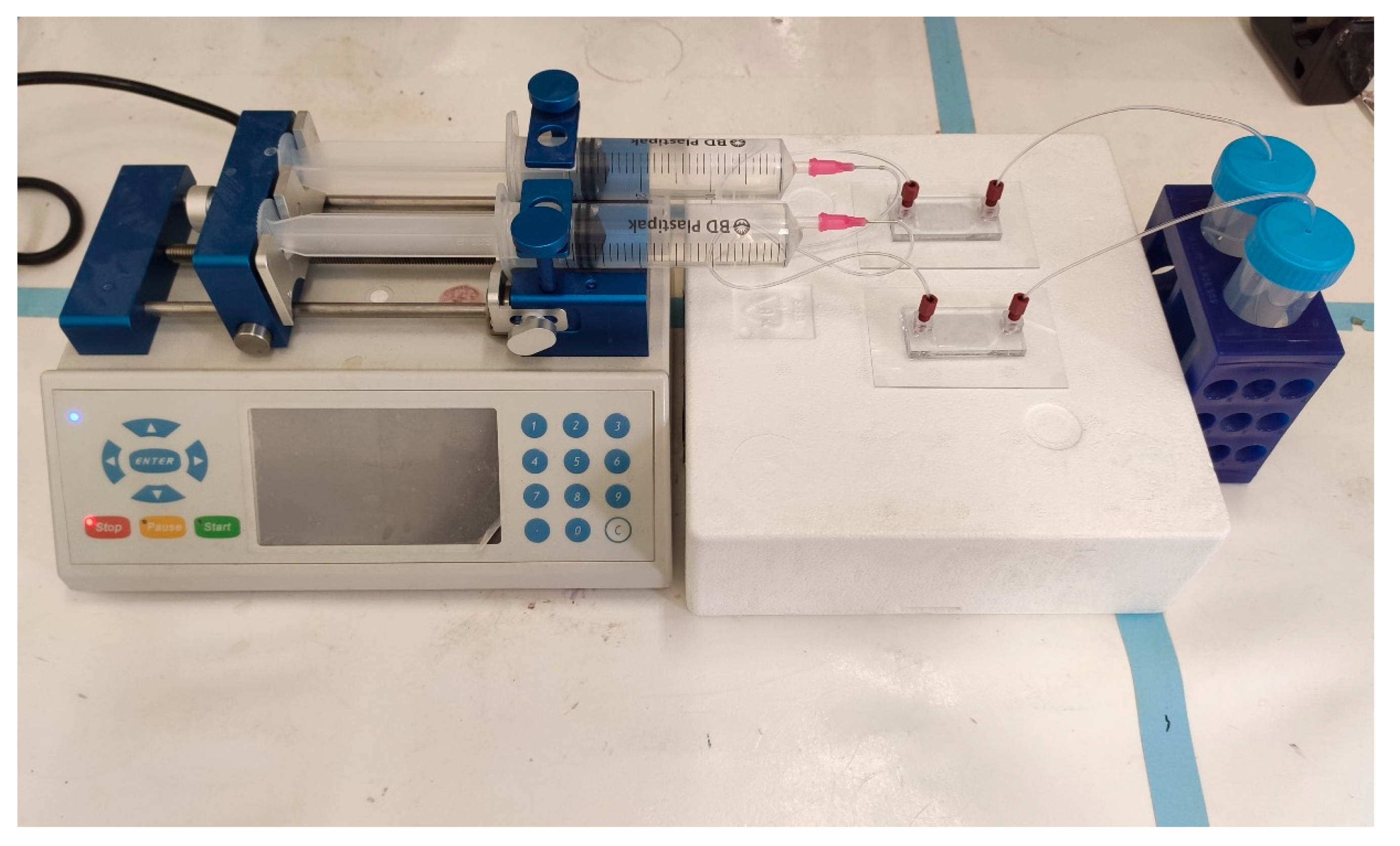 Pharmaceutics 13 00013 g004