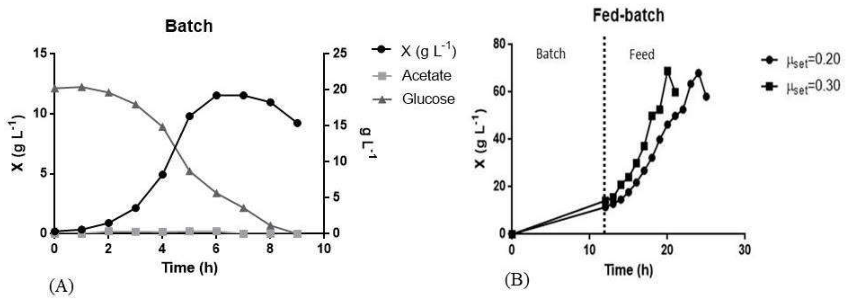 Pharmaceutics 13 00014 g003