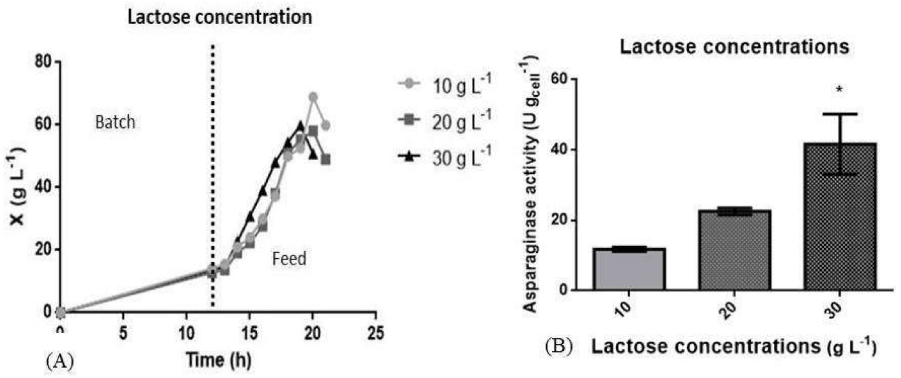 Pharmaceutics 13 00014 g004