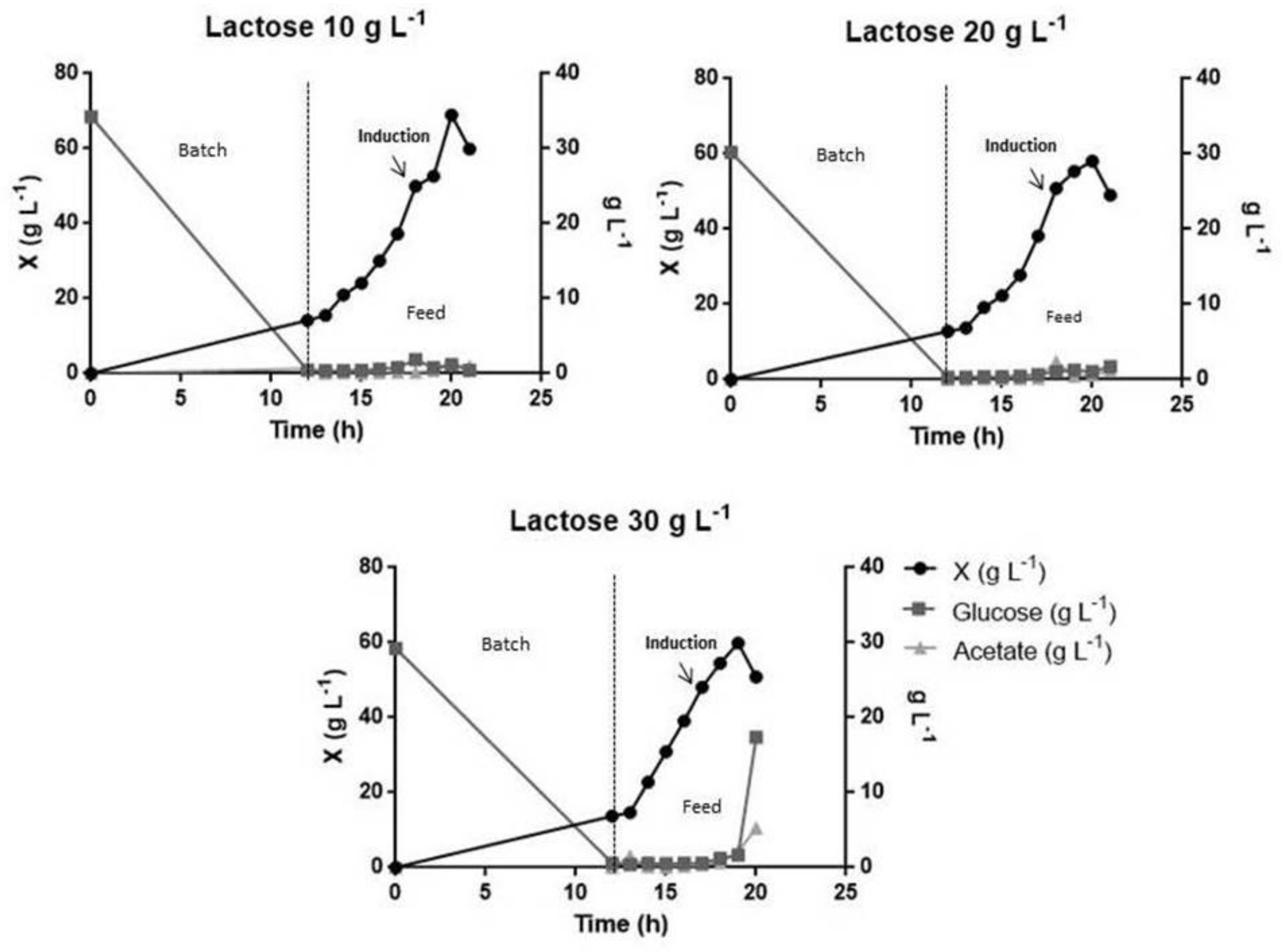 Pharmaceutics 13 00014 g005