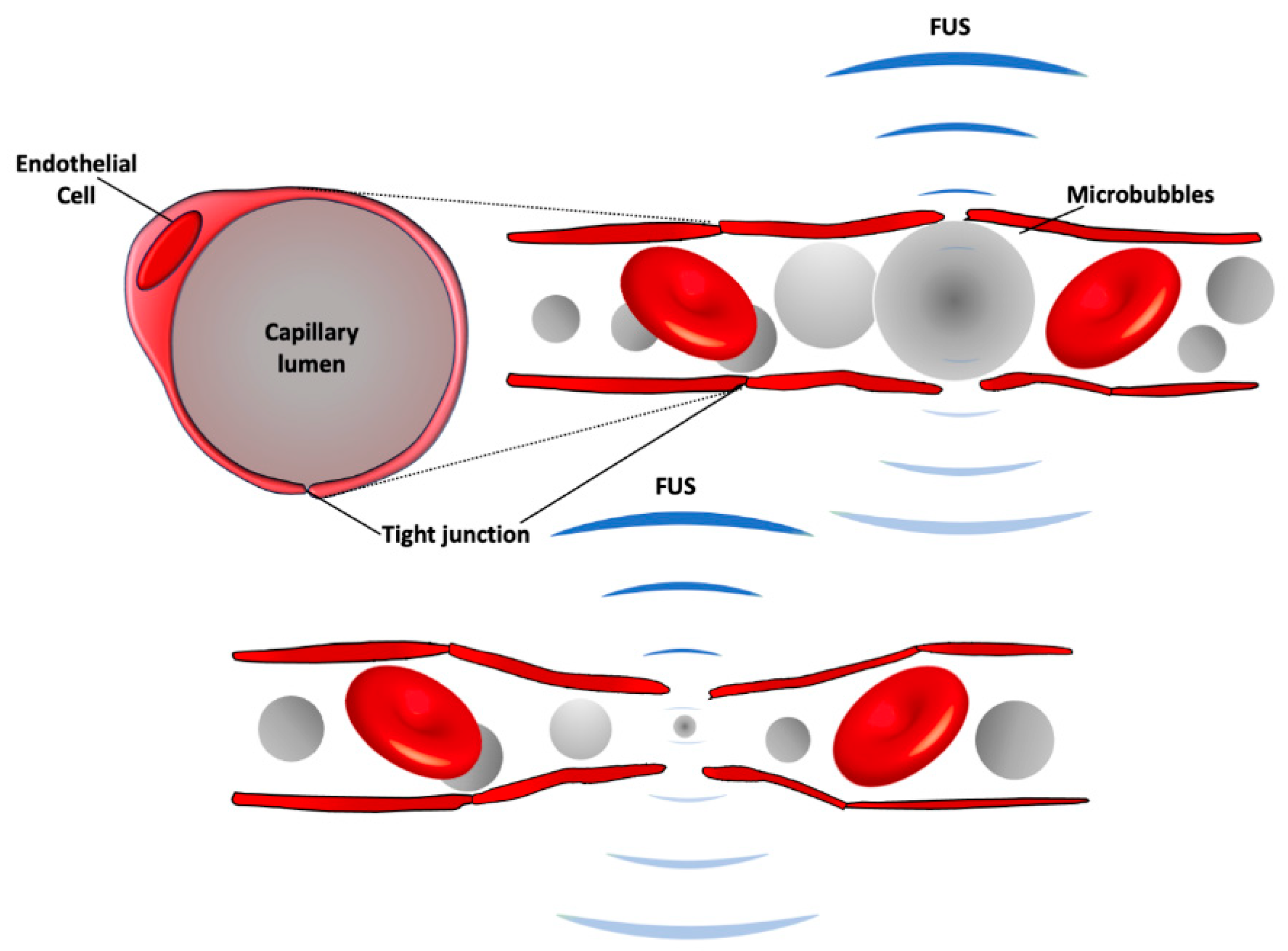 Pharmaceutics 13 00015 g001 Pharmaceutics 13 00015 g001