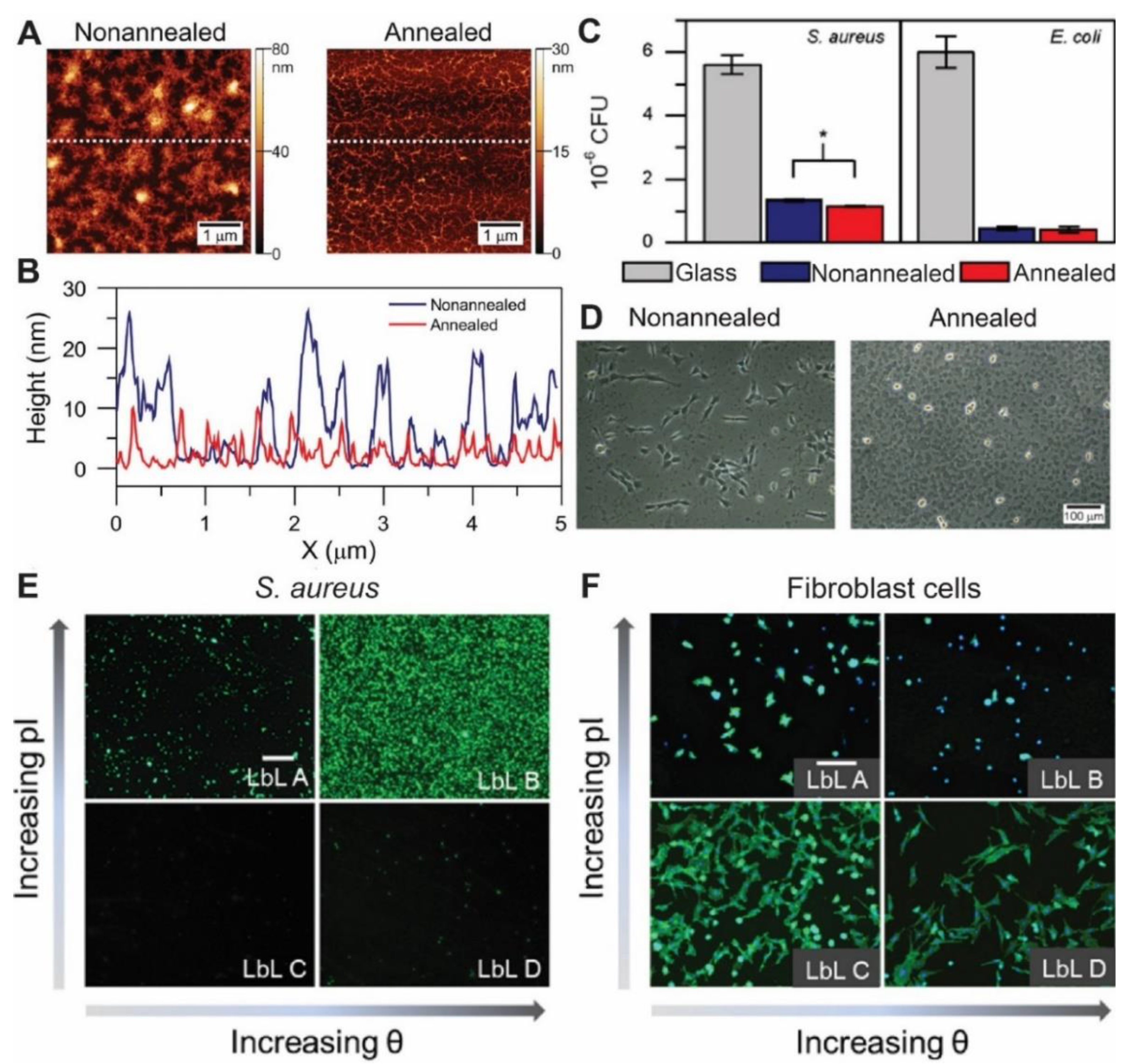 Pharmaceutics 13 00016 g006