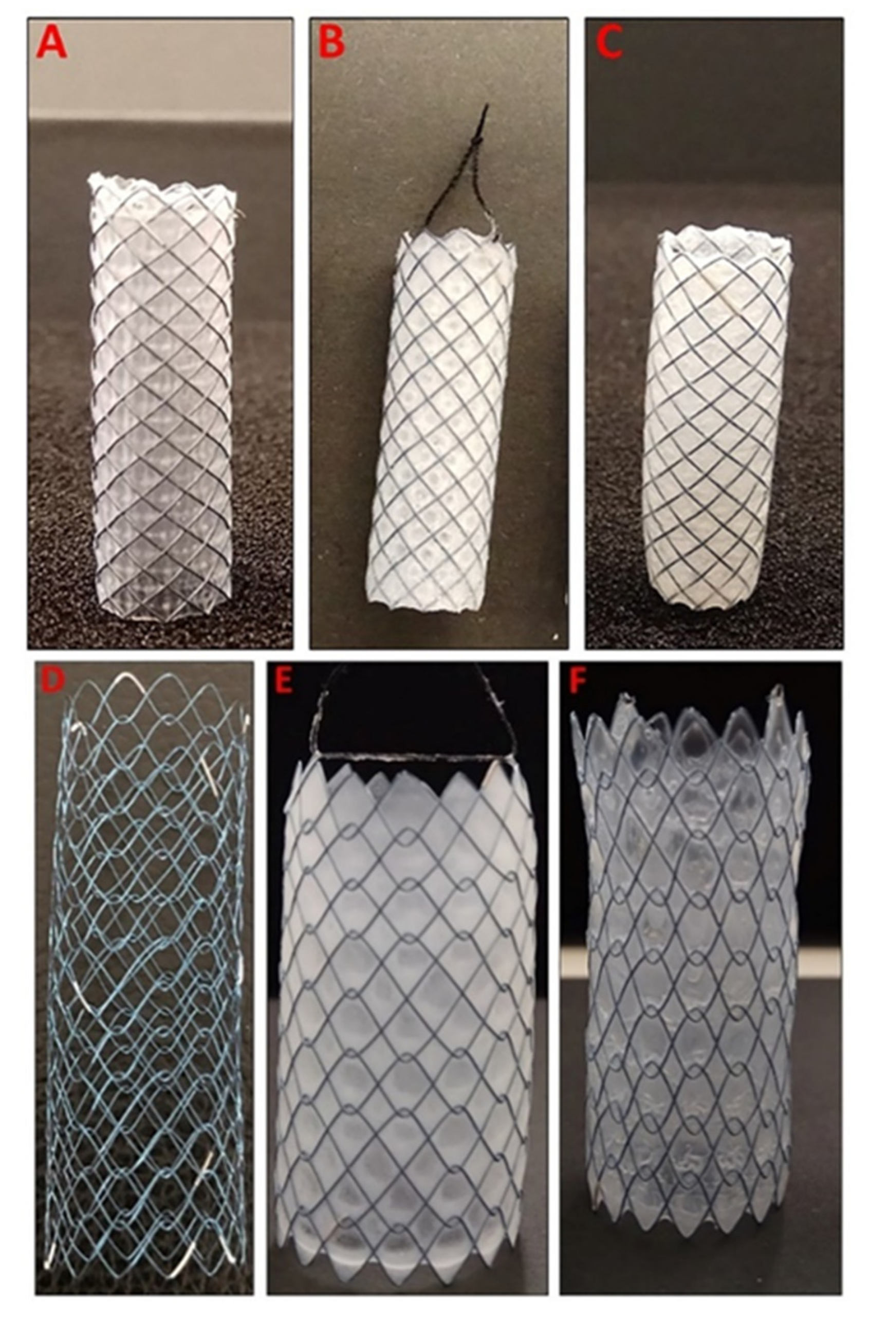 Pharmaceutics 13 00017 g001