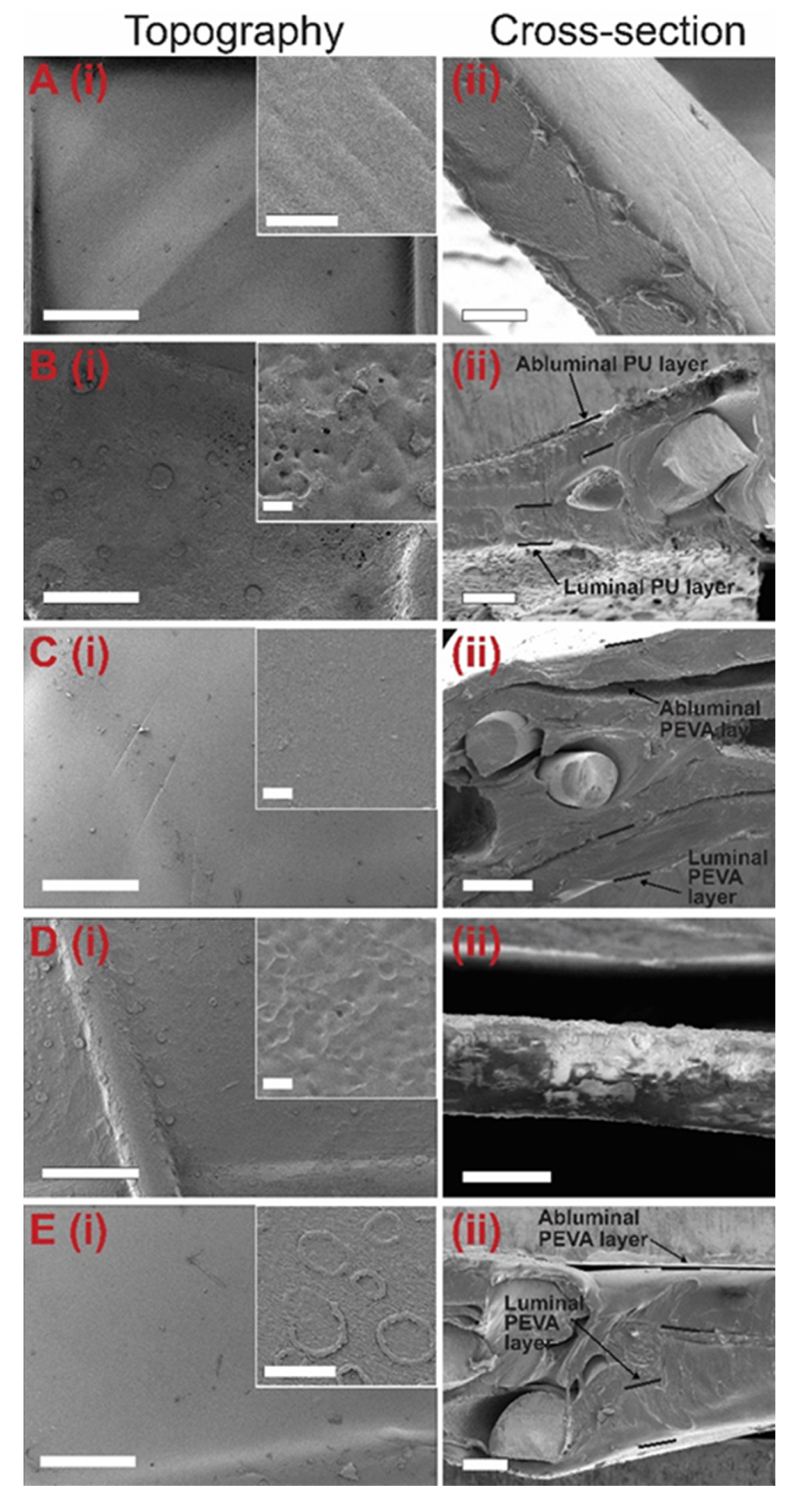 Pharmaceutics 13 00017 g005