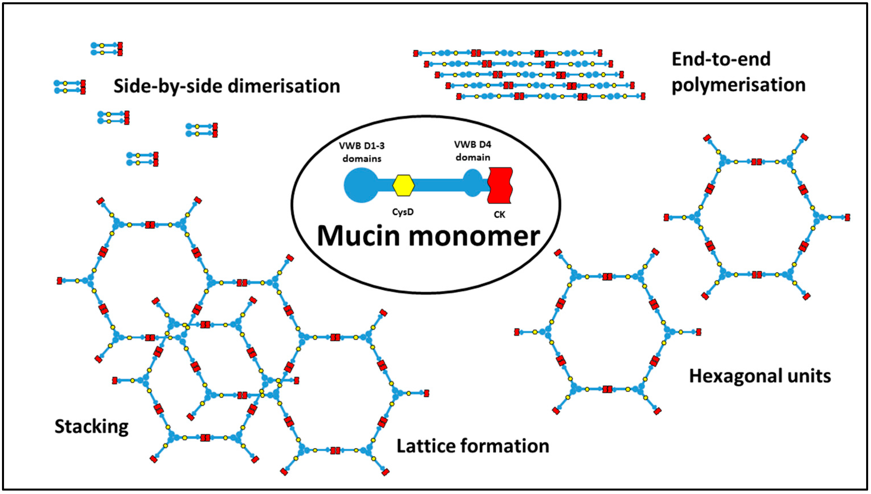 Pharmaceutics 13 00018 g003
