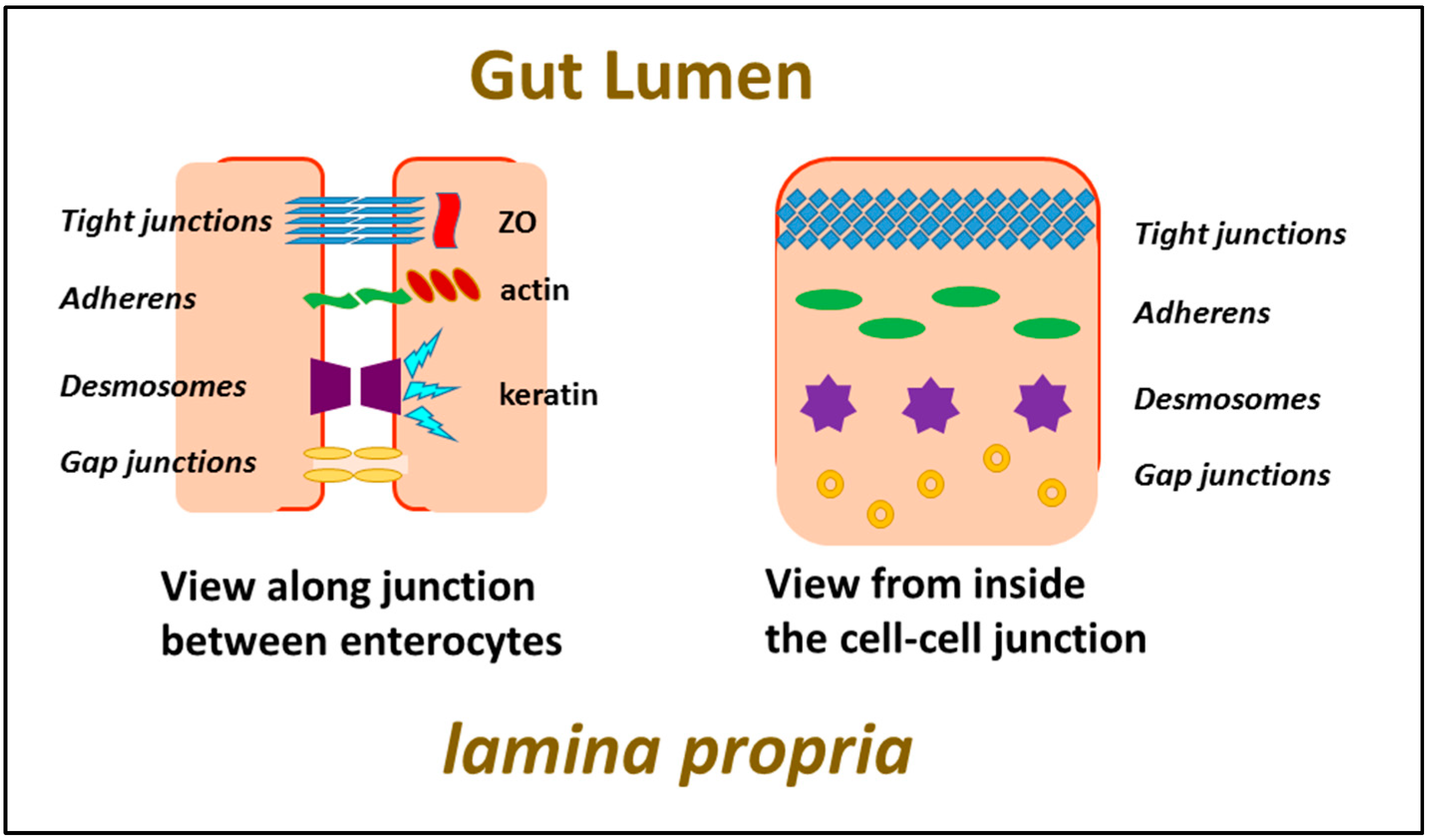 Pharmaceutics 13 00018 g005