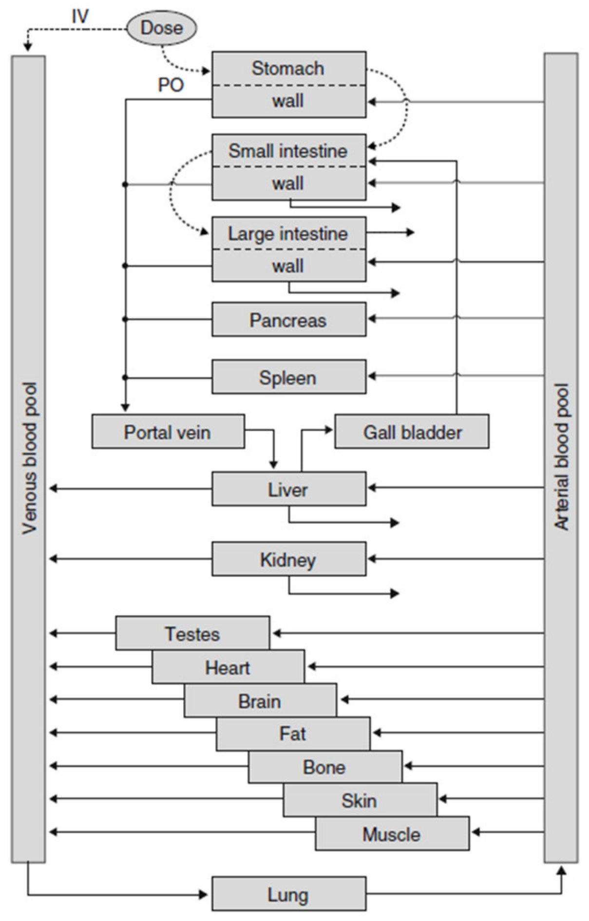 Pharmaceutics 13 00022 g004