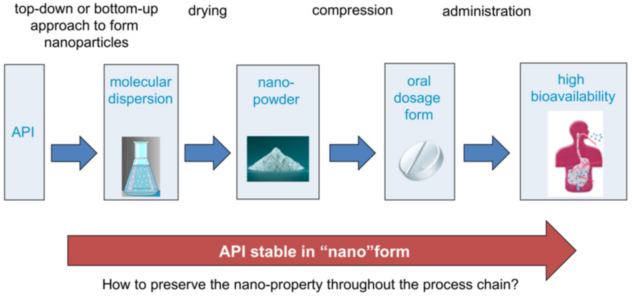 Pharmaceutics 13 00022 g006