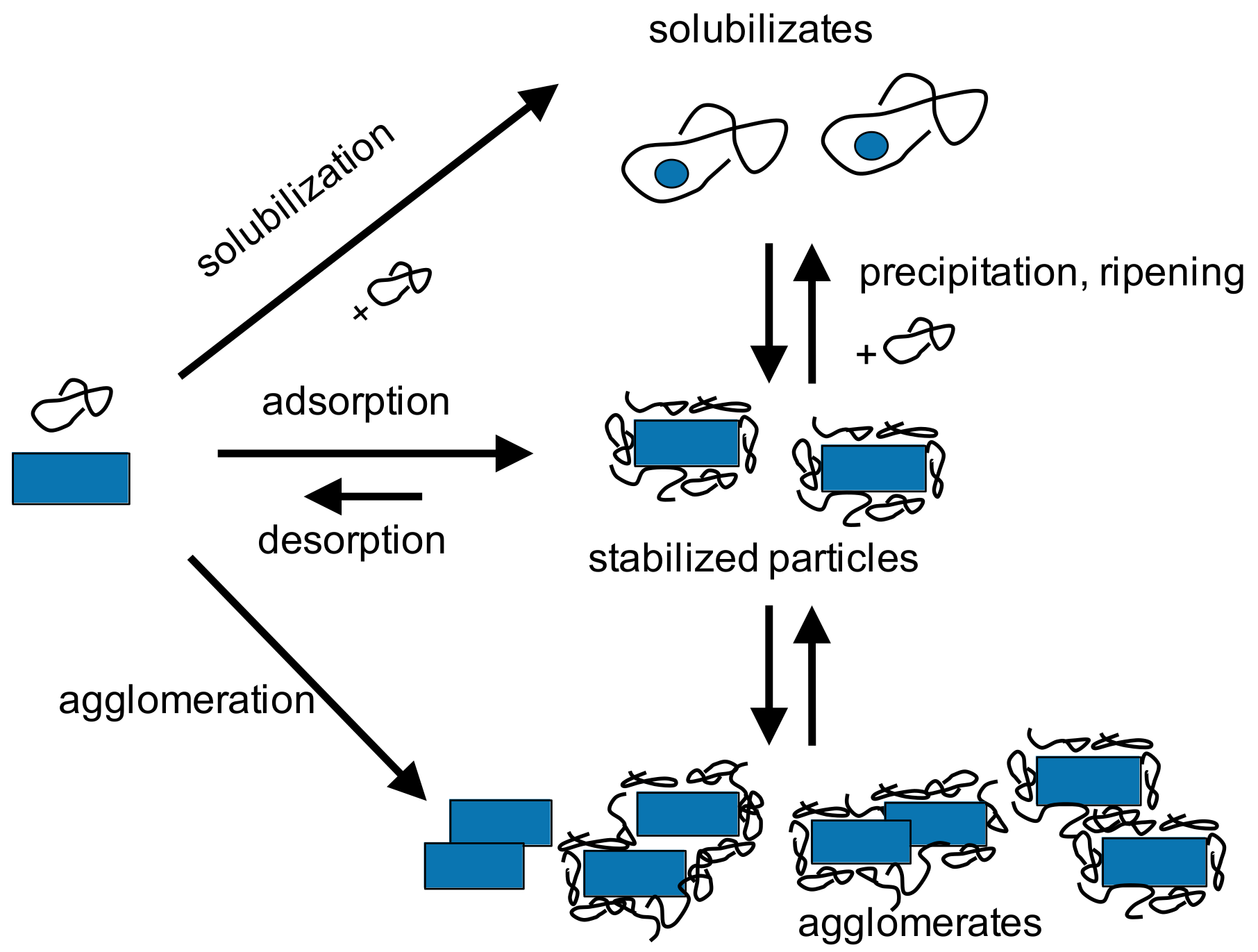 Pharmaceutics 13 00022 g011