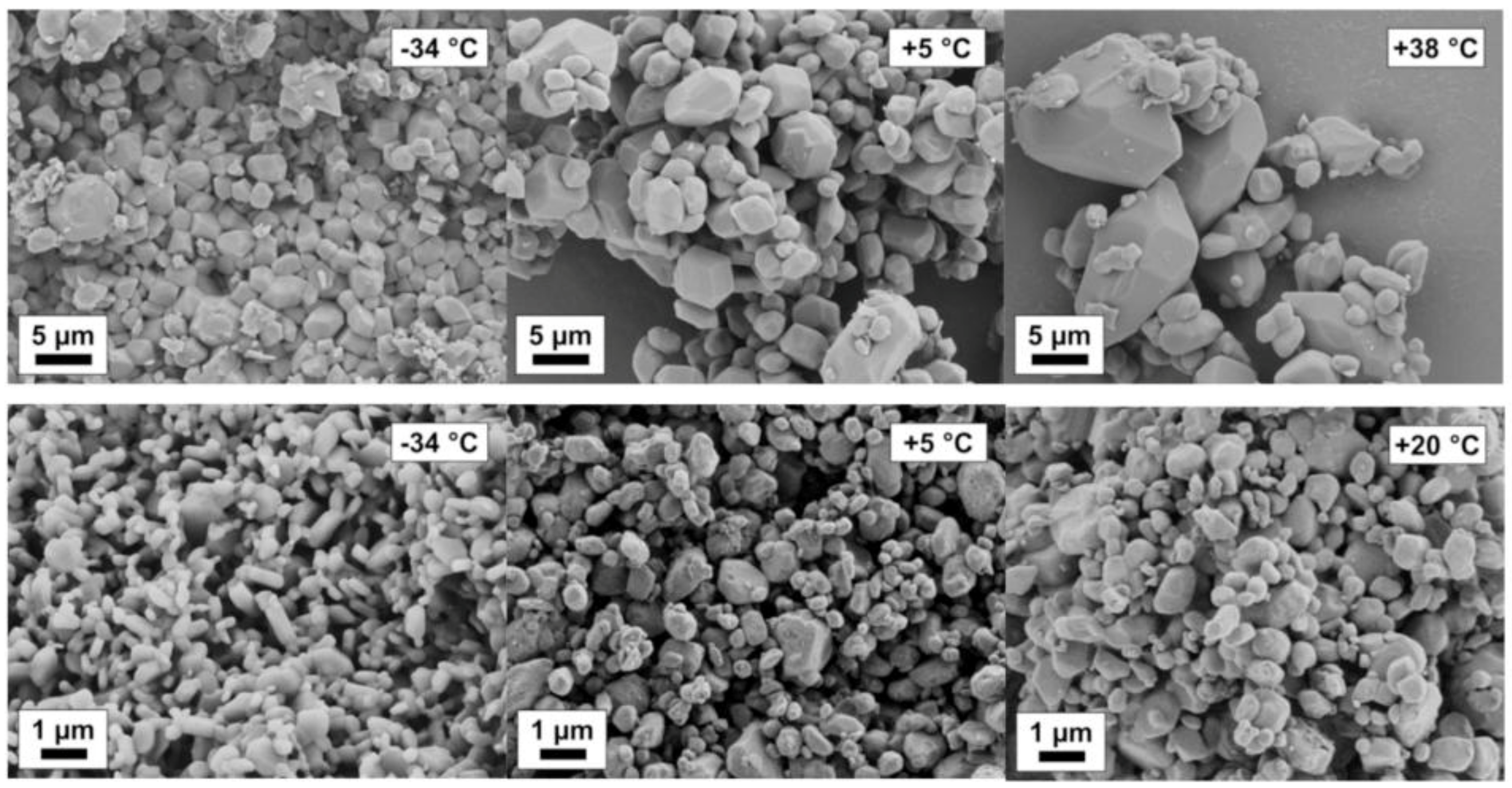 Pharmaceutics 13 00022 g012