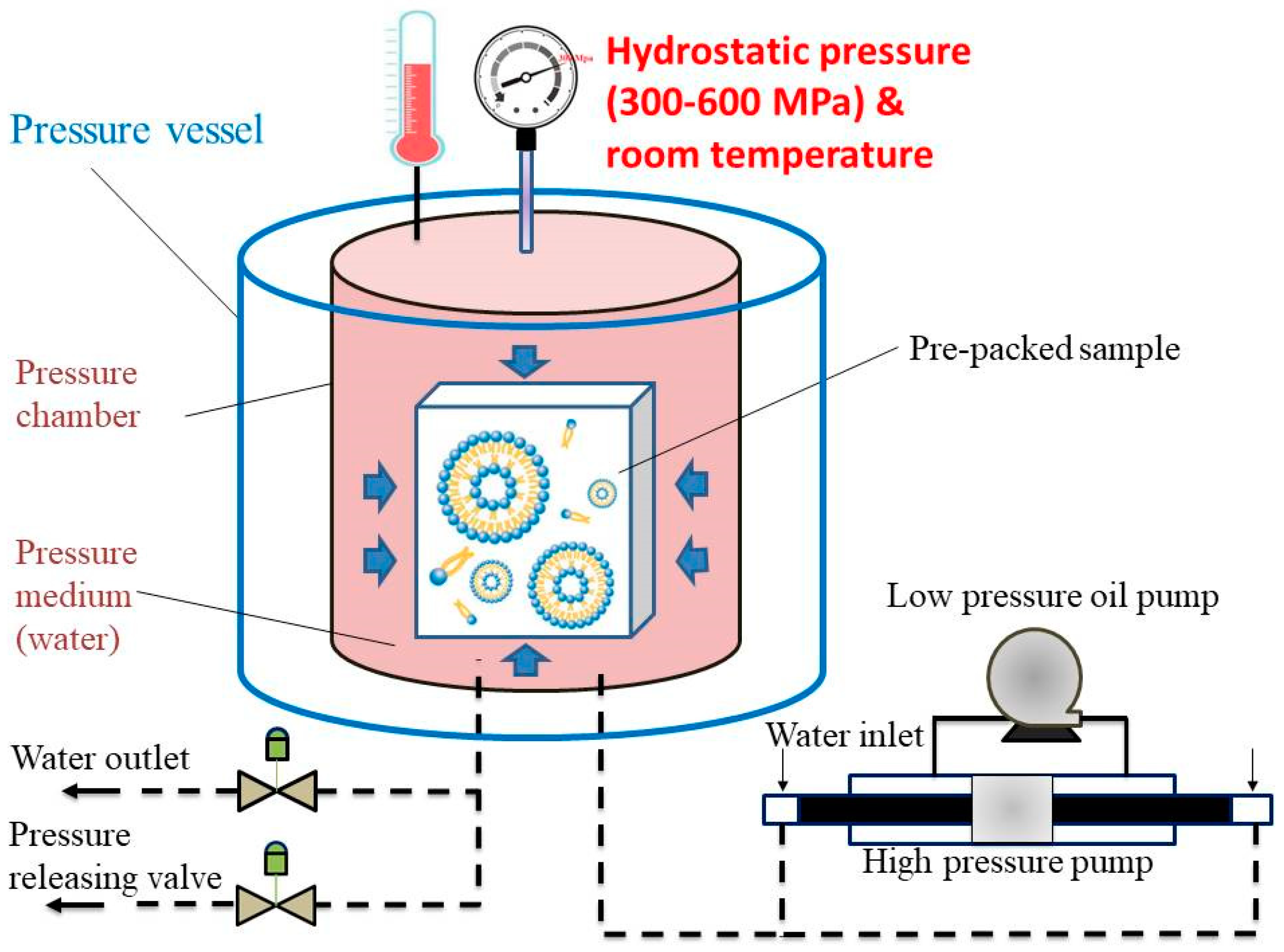 Pharmaceutics 13 00023 g001 Pharmaceutics 13 00023 g001