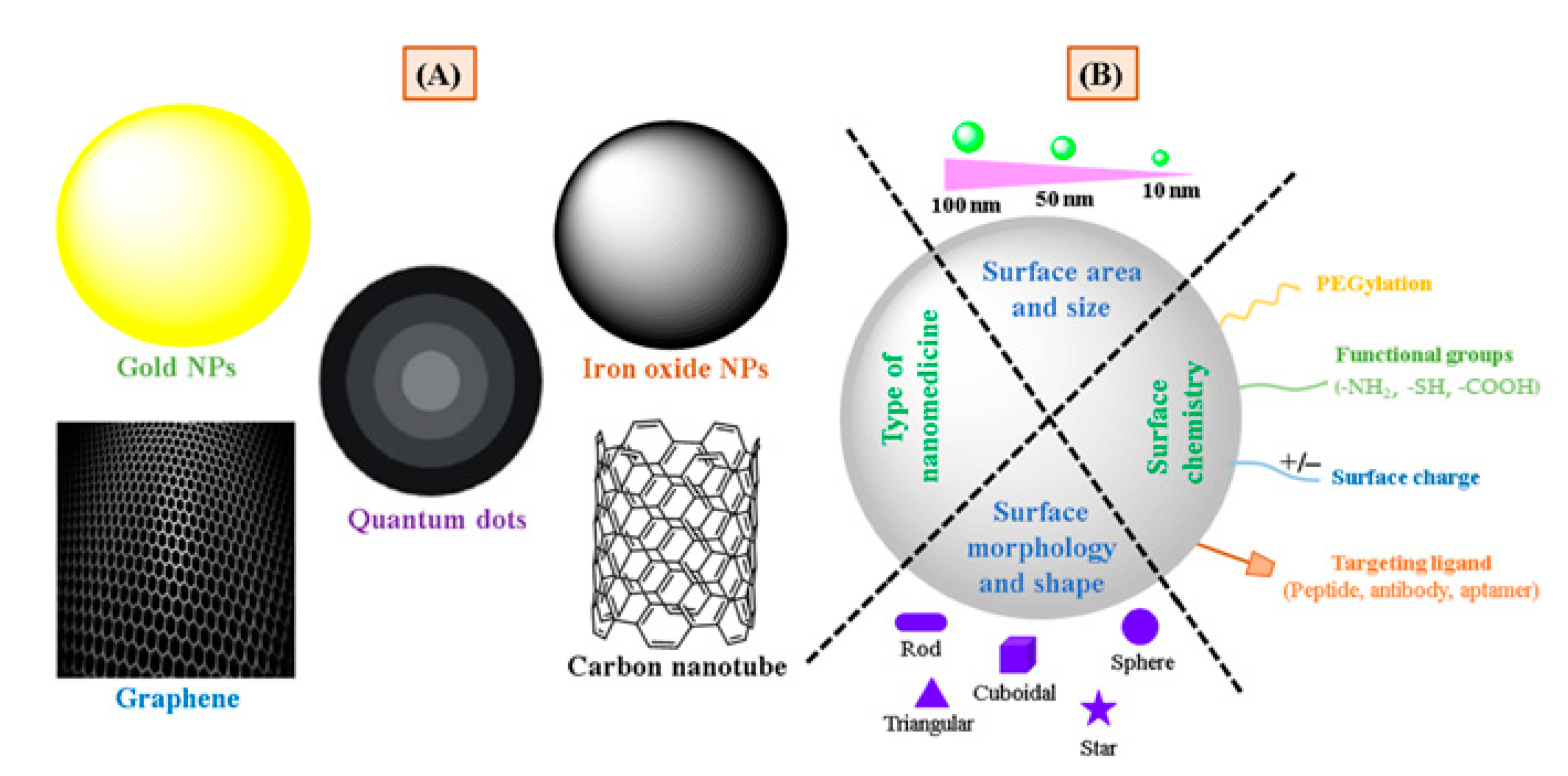 Pharmaceutics 13 00024 g001
