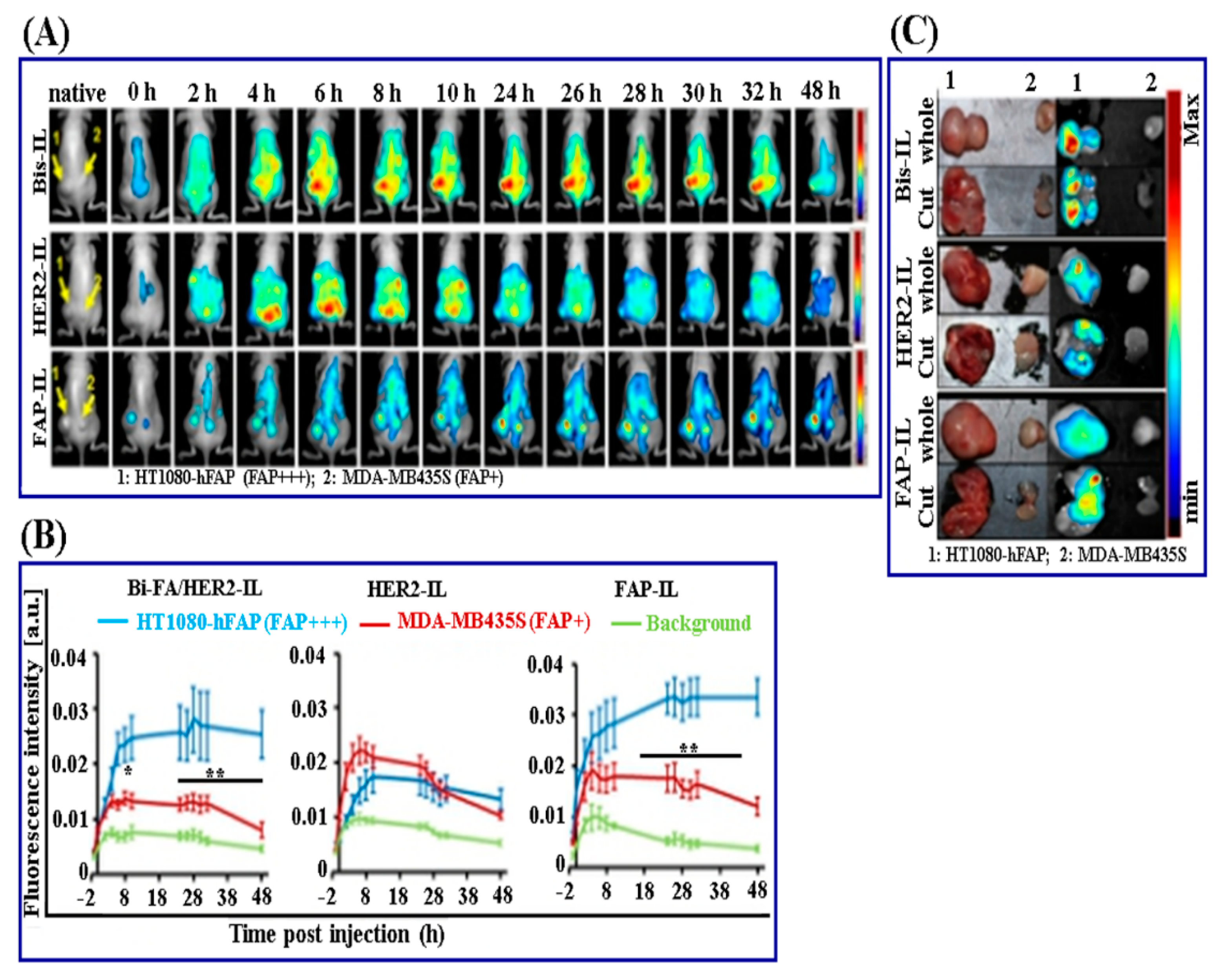 Pharmaceutics 13 00024 g003