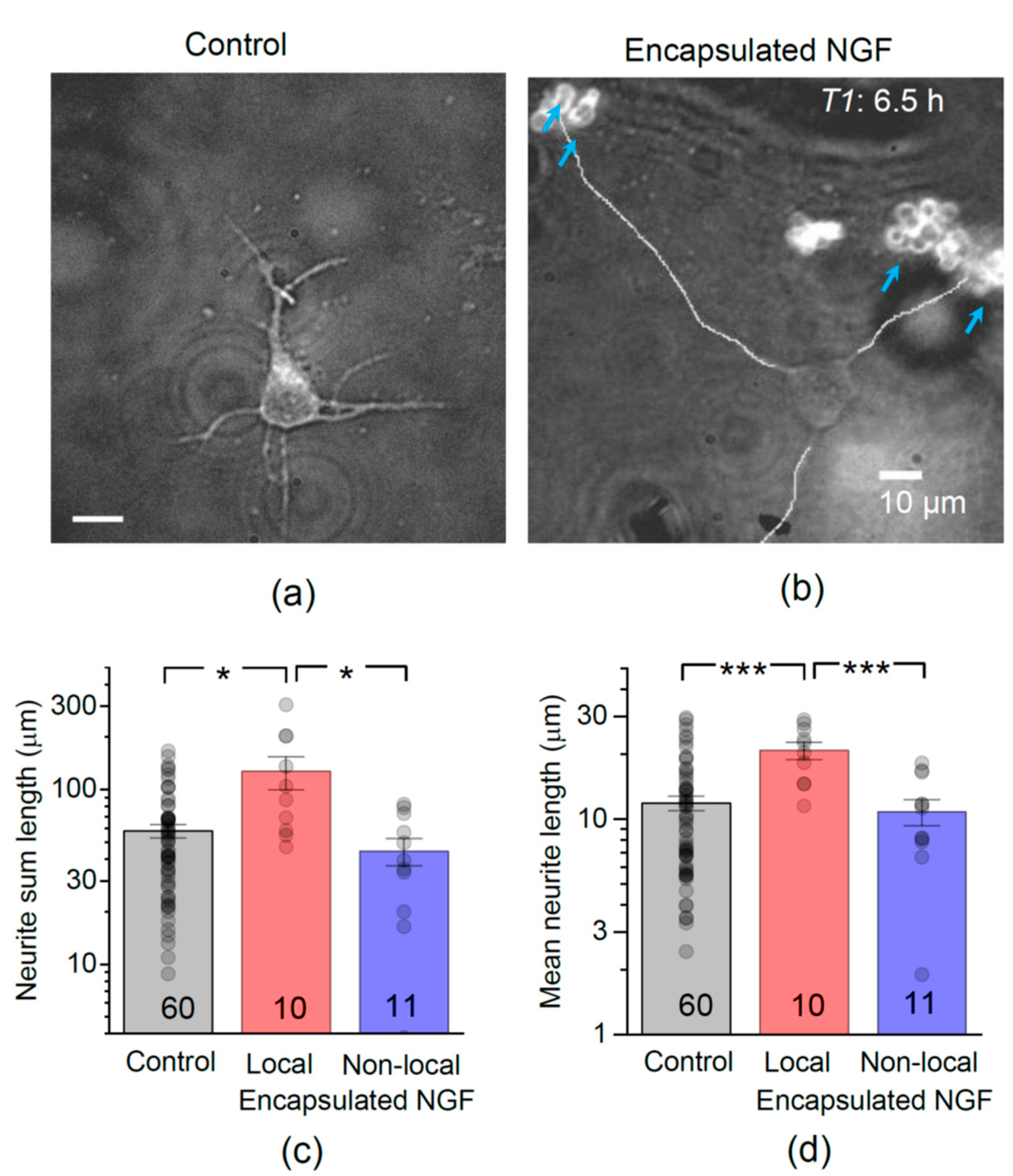 Pharmaceutics 13 00025 g002