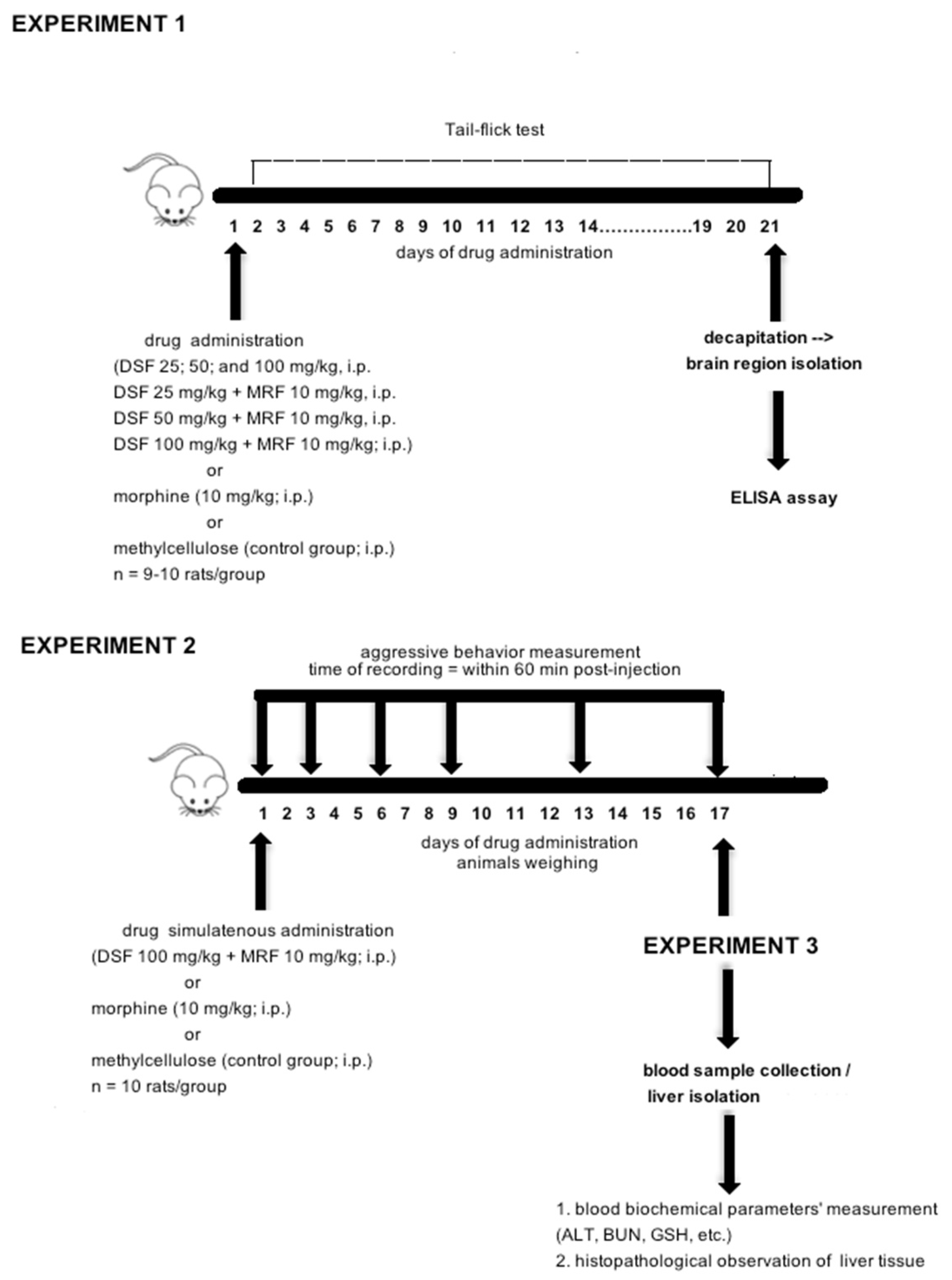 Pharmaceutics 13 00029 g001 Pharmaceutics 13 00029 g001