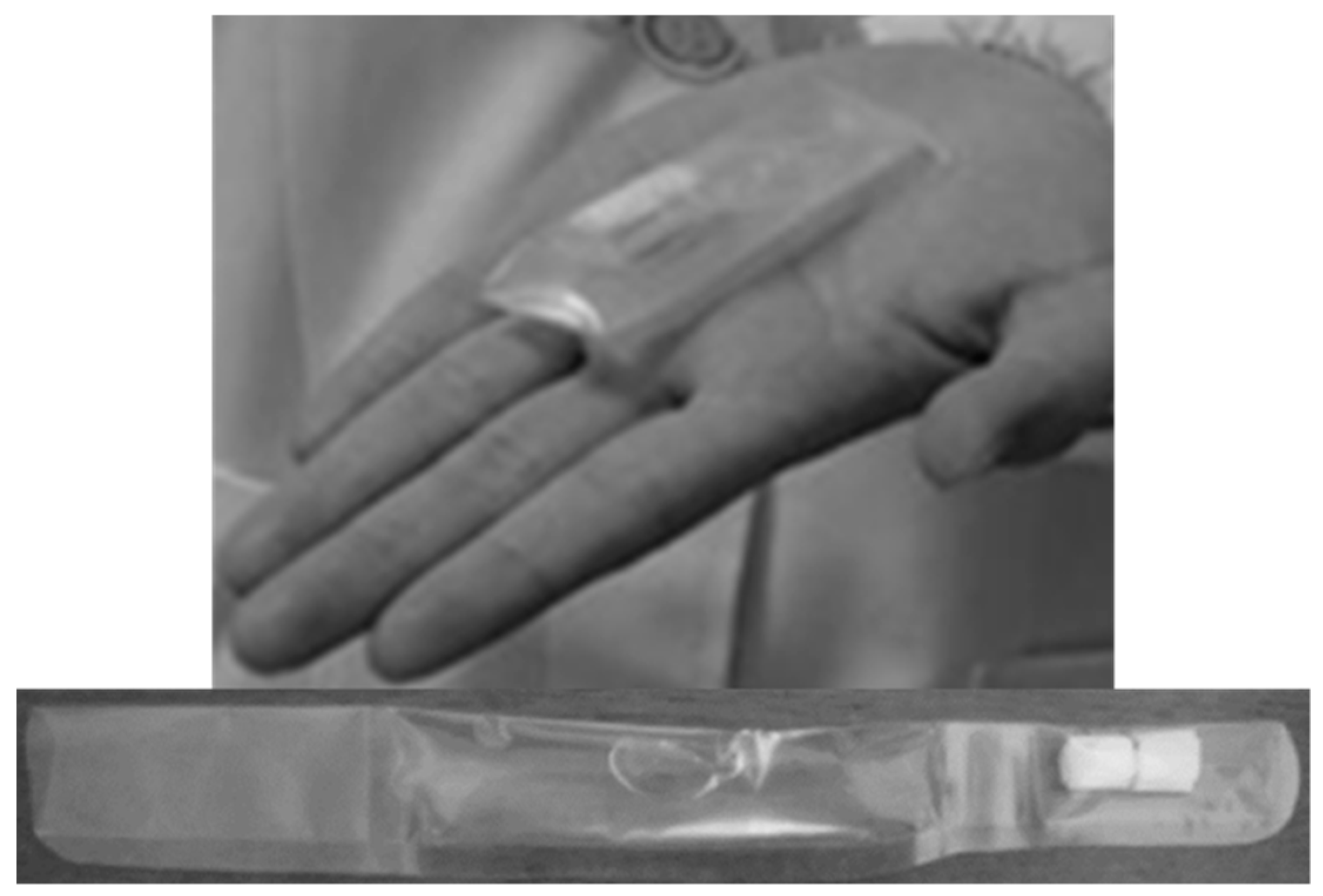 Pharmaceutics 13 00032 g003