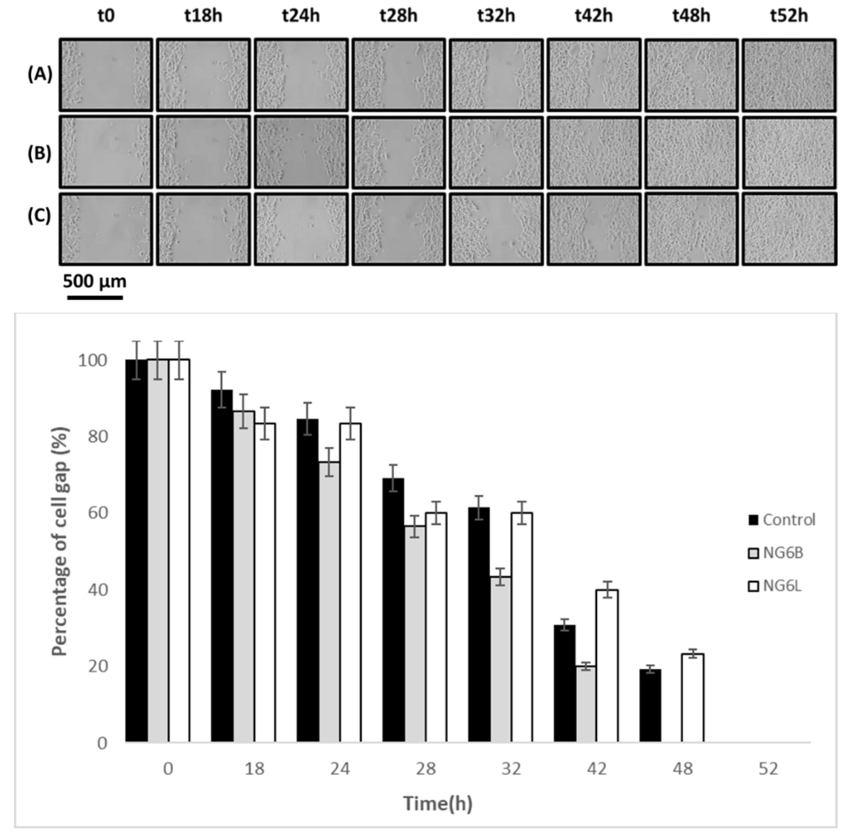 Pharmaceutics 13 00034 g005