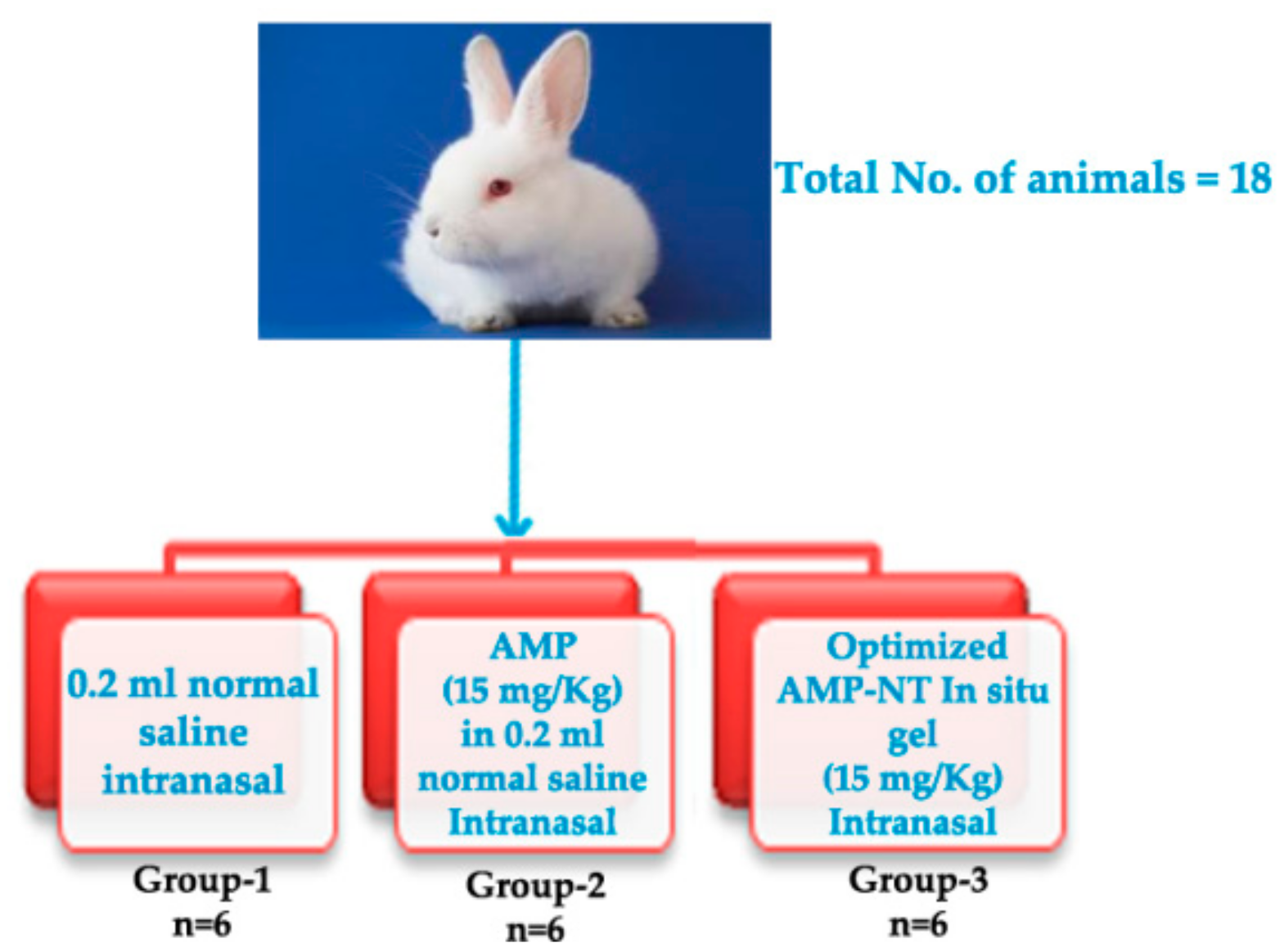 Pharmaceutics 13 00035 g001