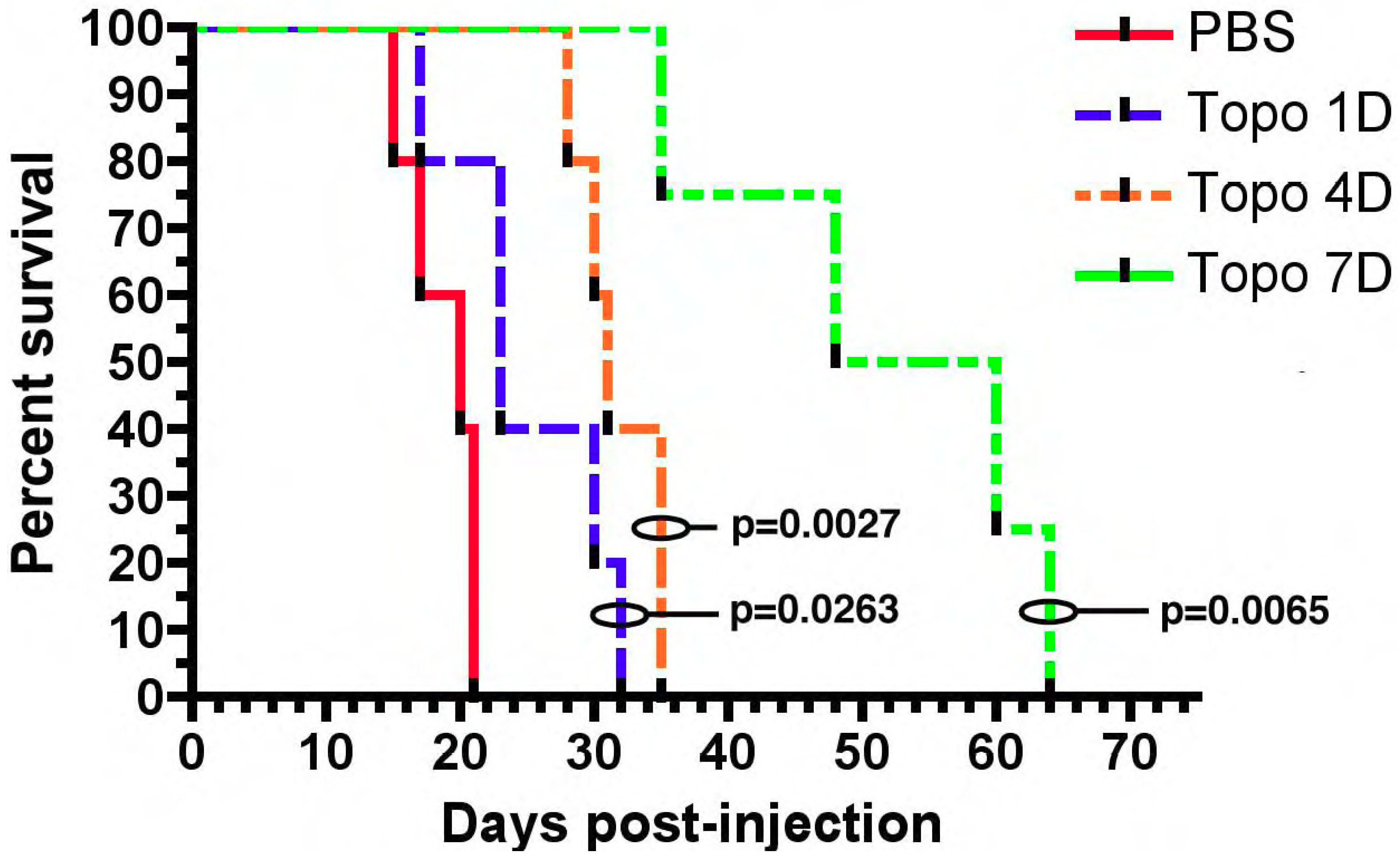Pharmaceutics 13 00039 g001