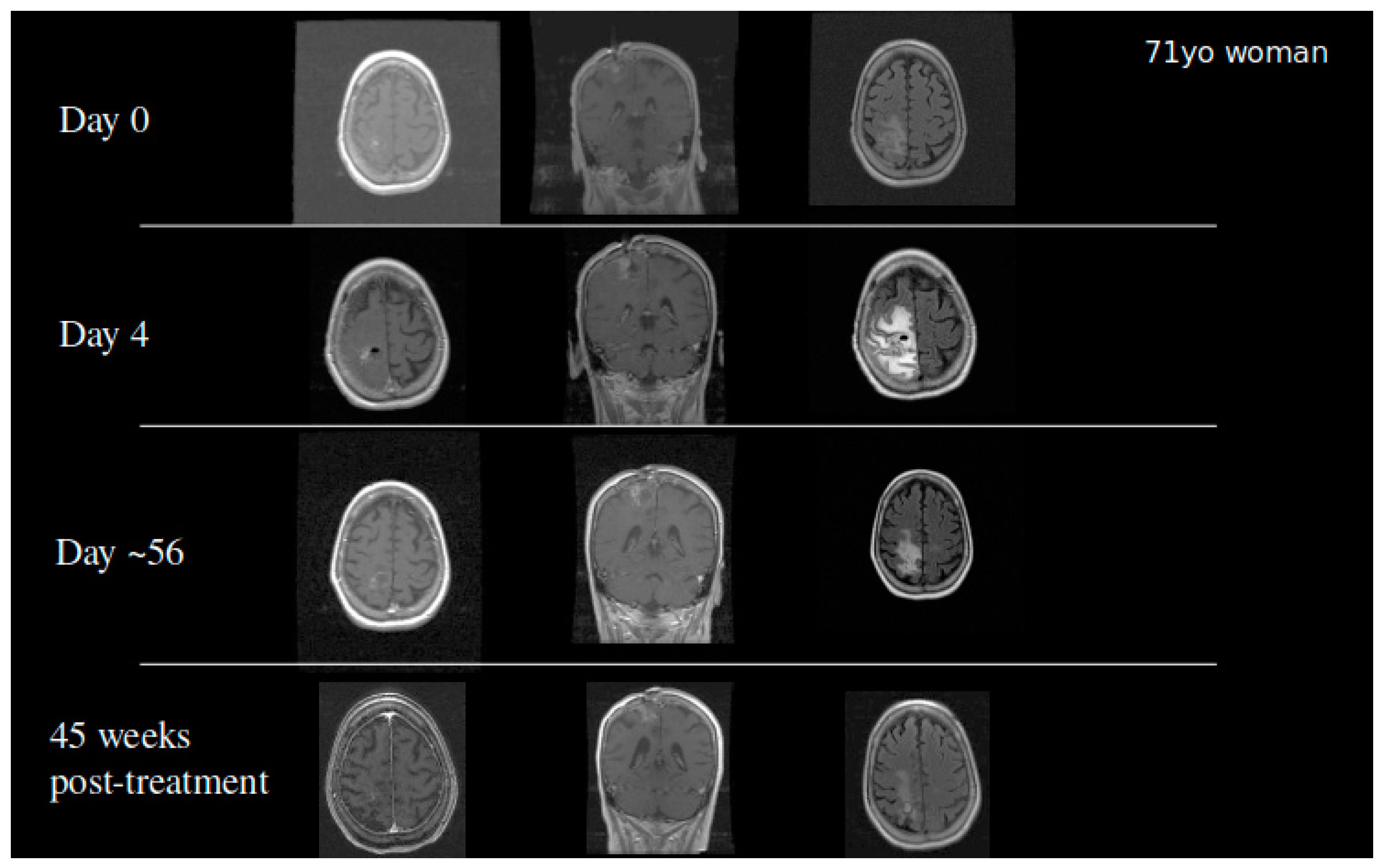 Pharmaceutics 13 00039 g004