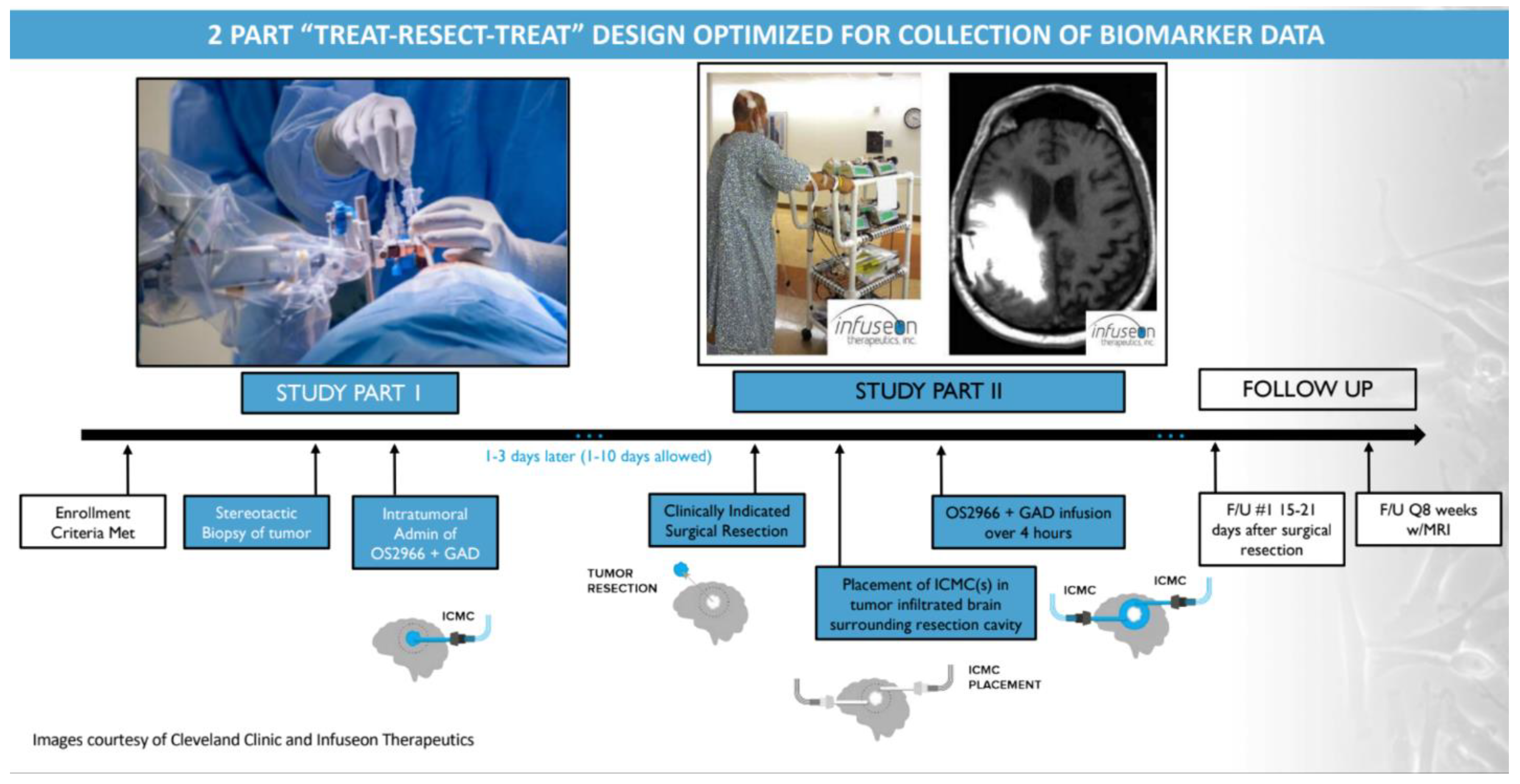 Pharmaceutics 13 00040 g002