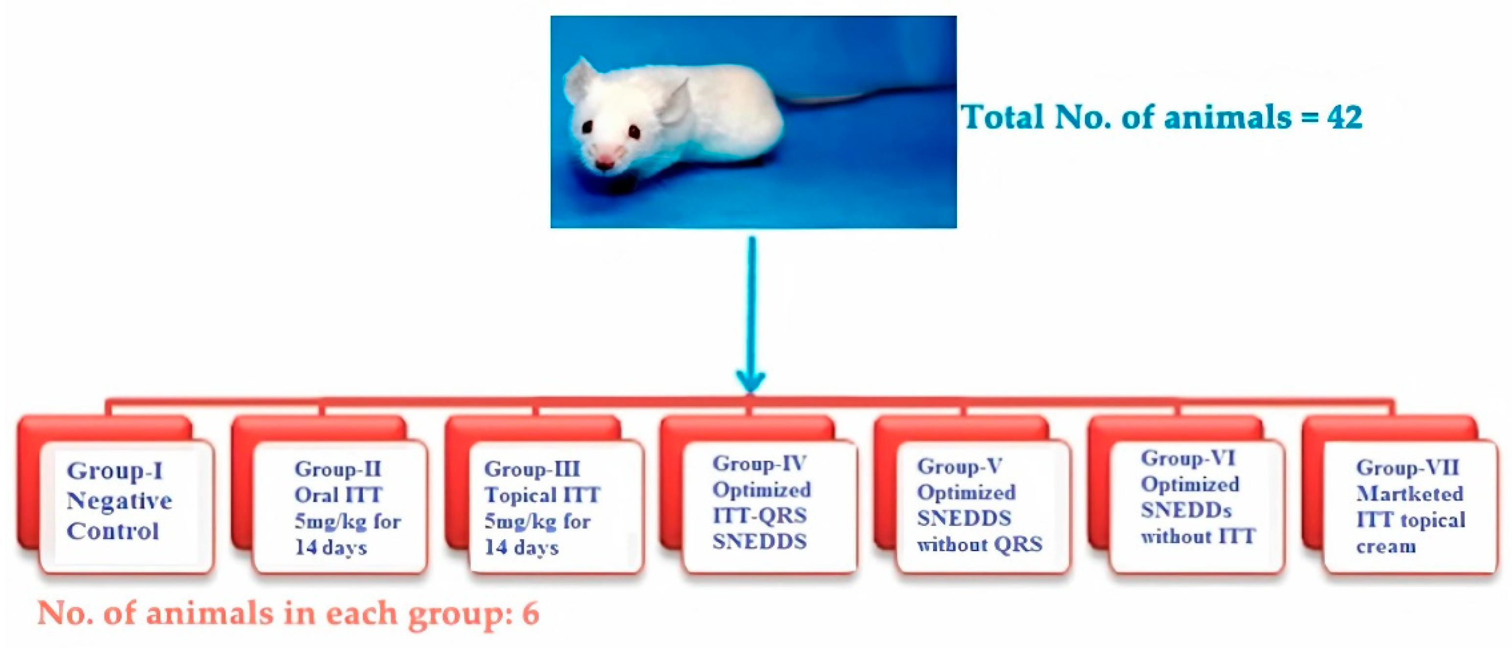 Pharmaceutics 13 00046 g002