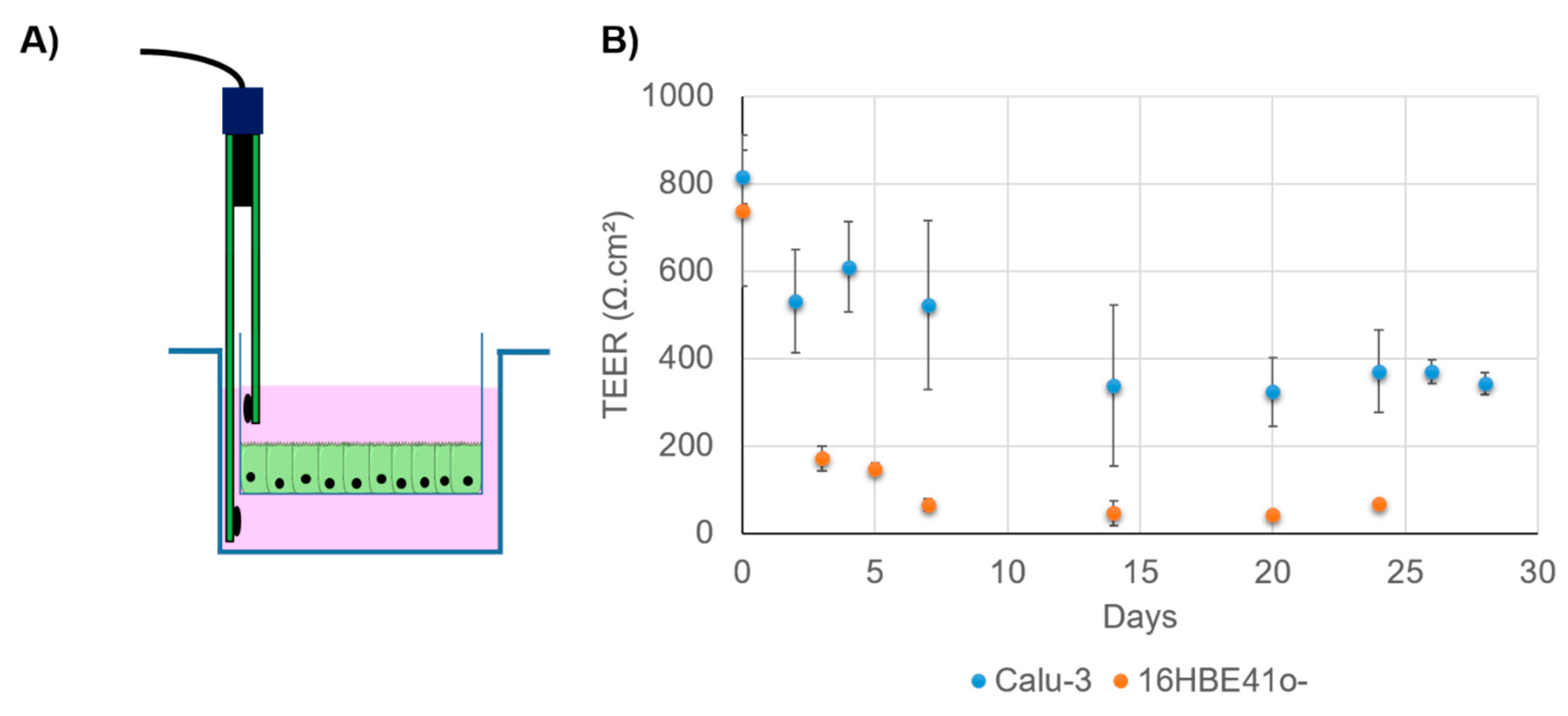 Pharmaceutics 13 00047 g005