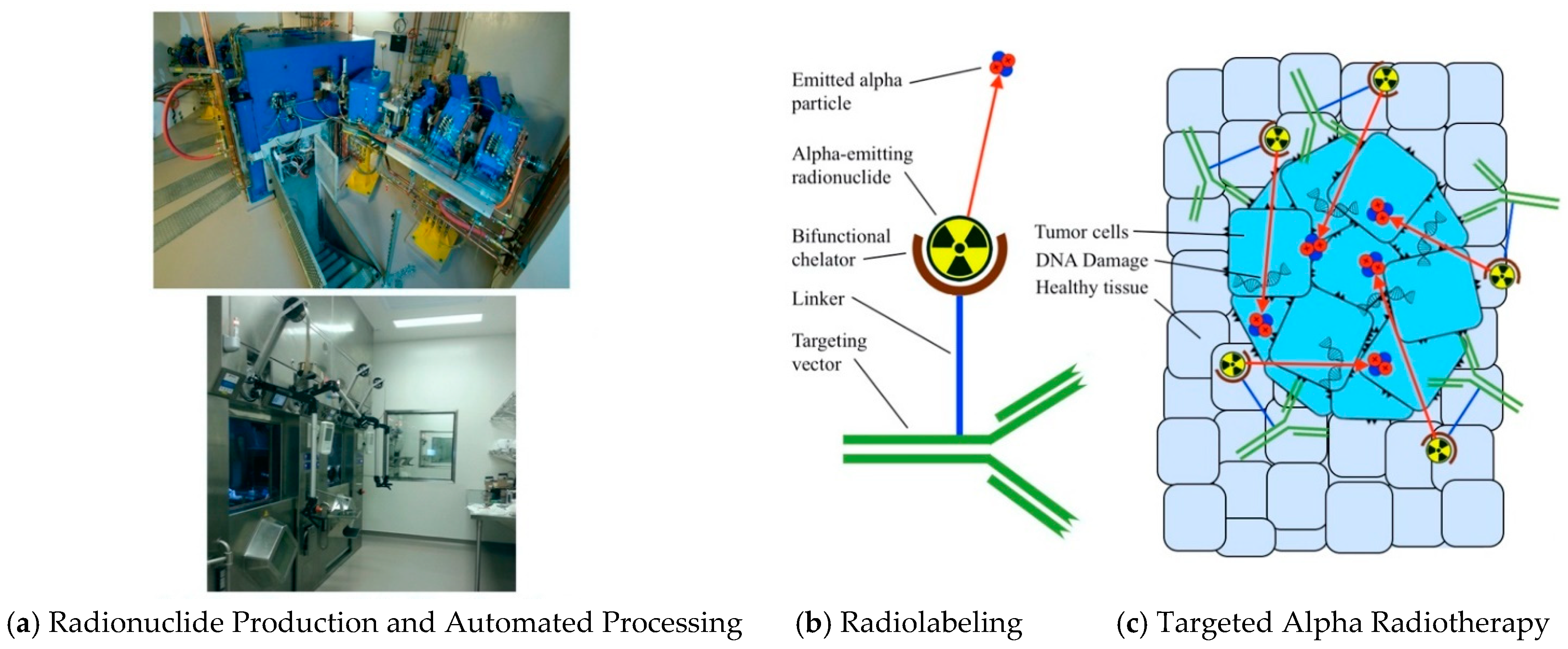 Pharmaceutics 13 00049 g001