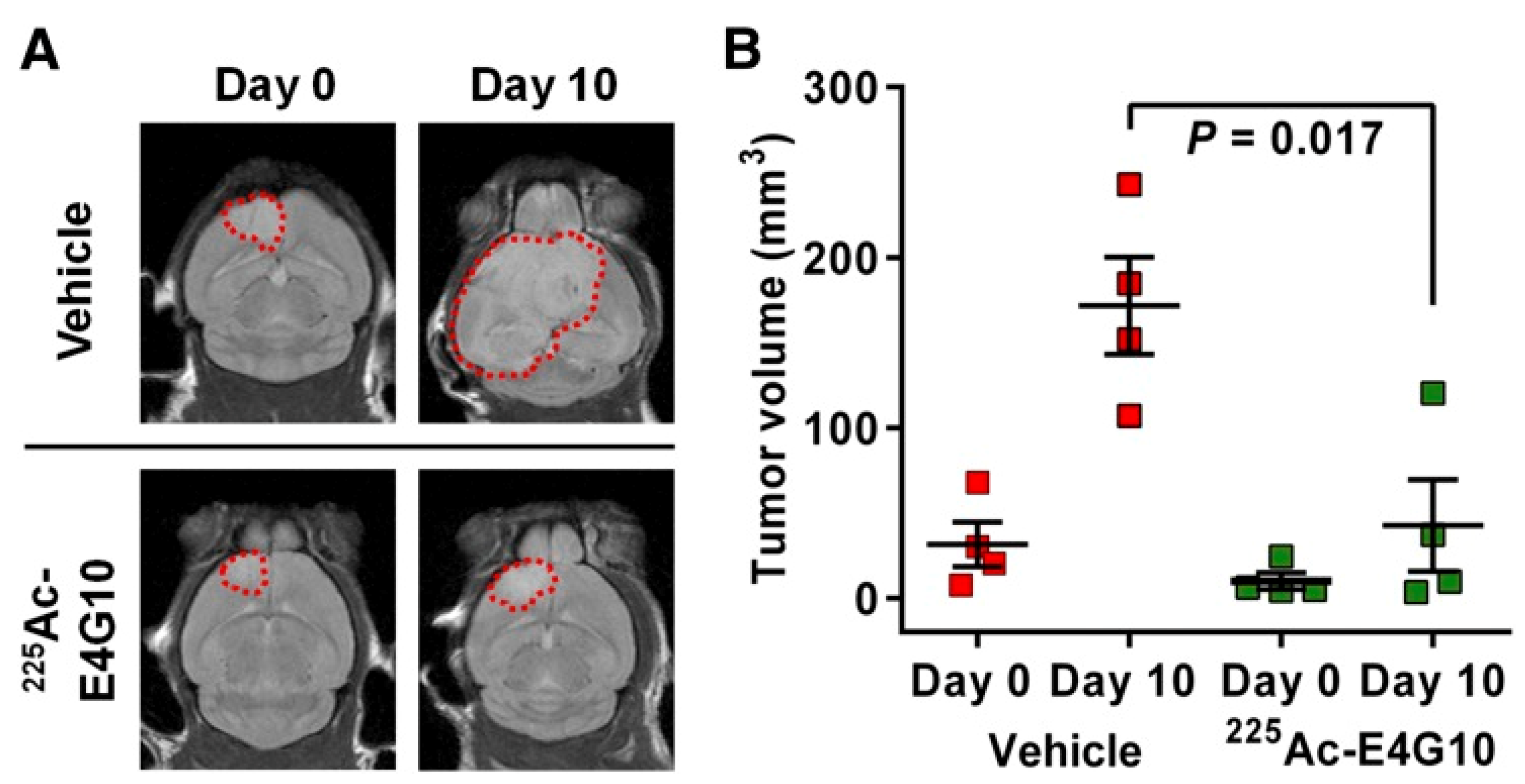 Pharmaceutics 13 00049 g004