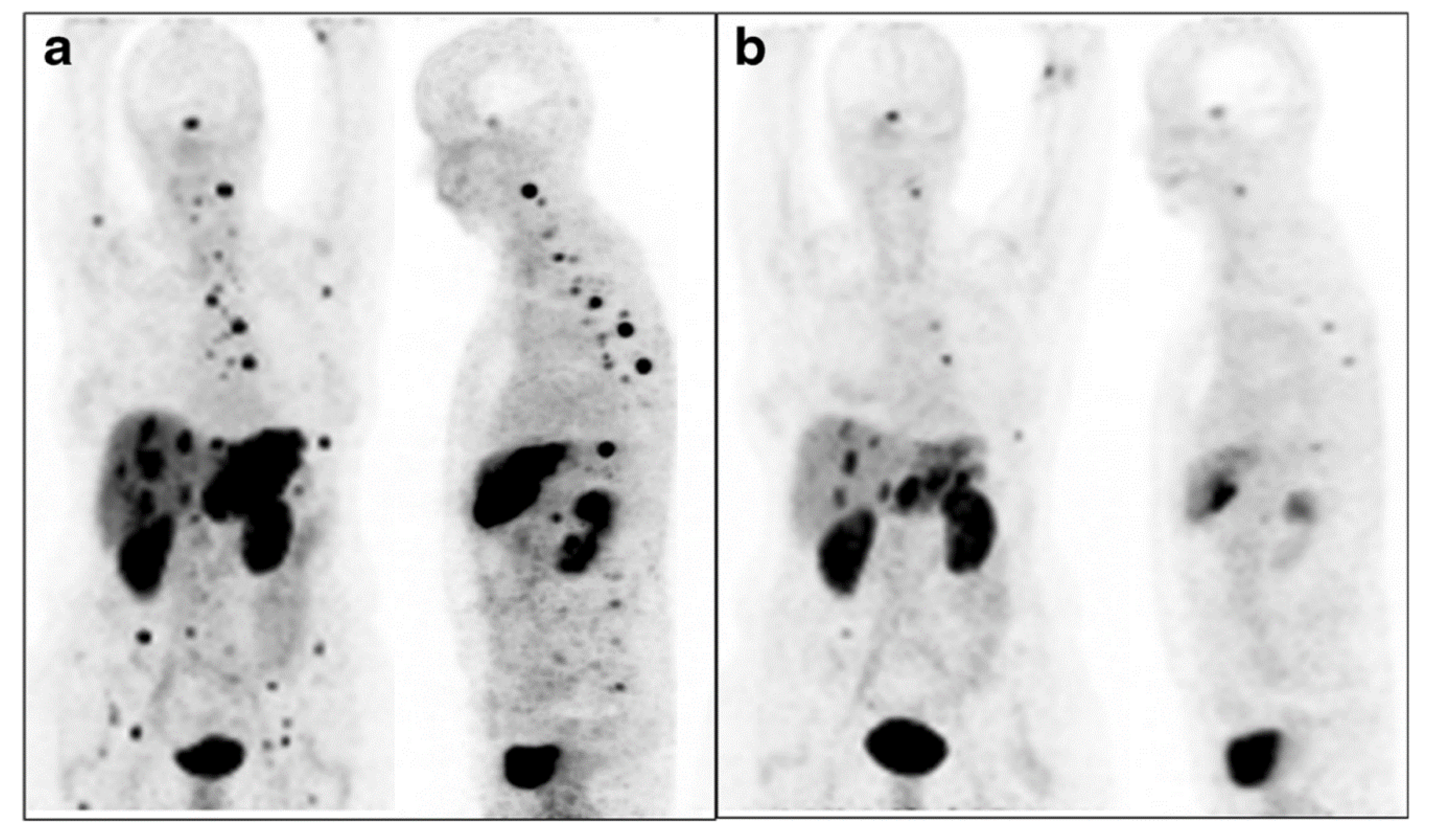 Pharmaceutics 13 00049 g008