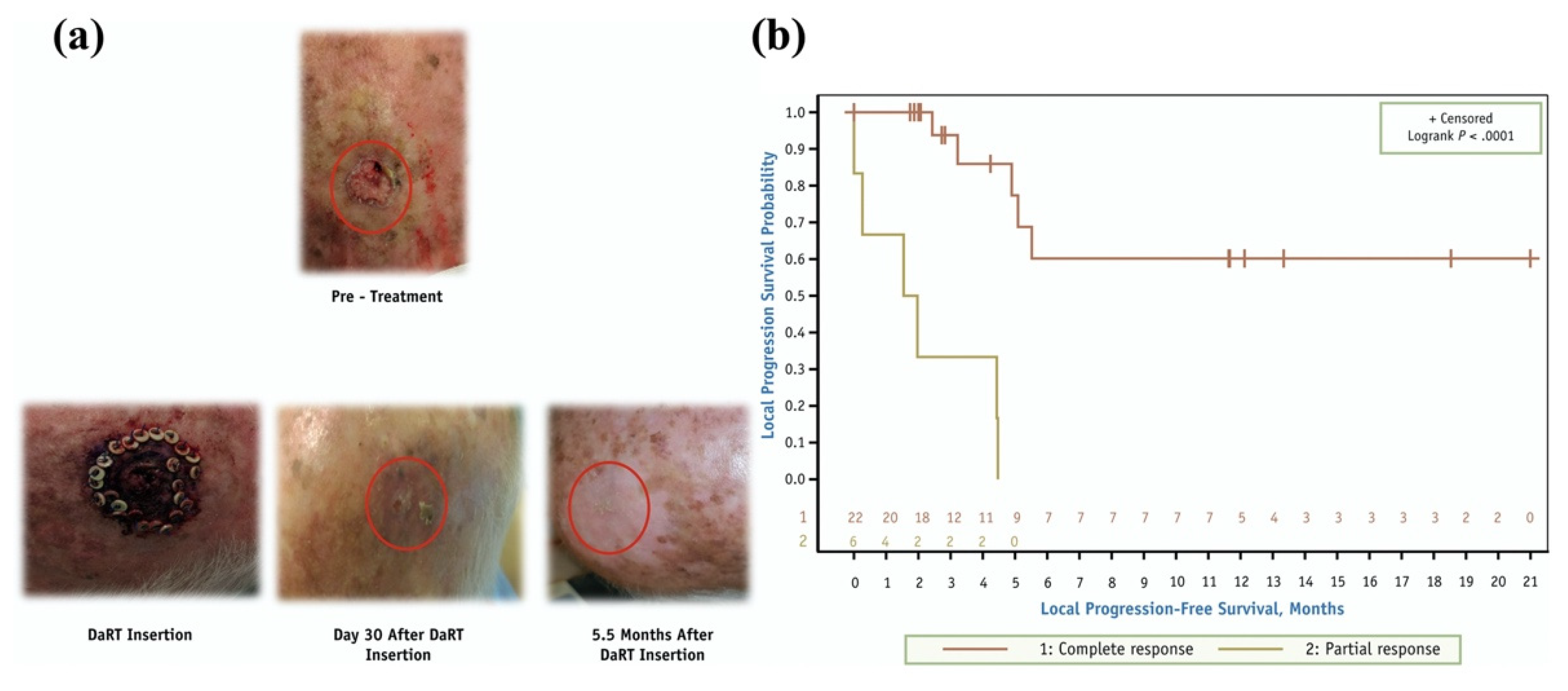 Pharmaceutics 13 00049 g009