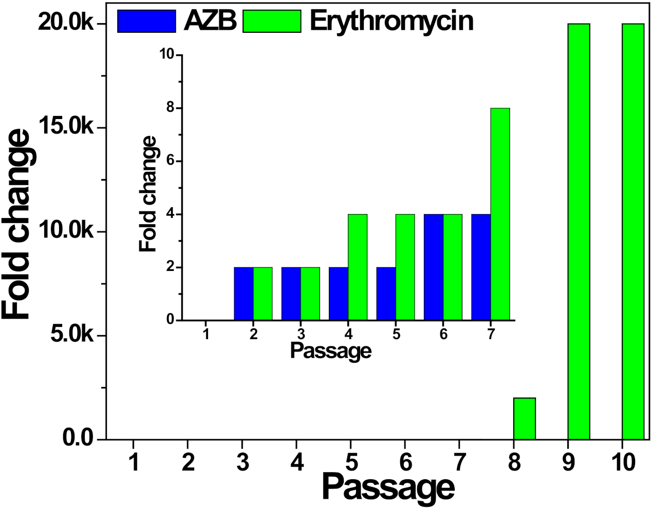 Pharmaceutics 13 00052 g008