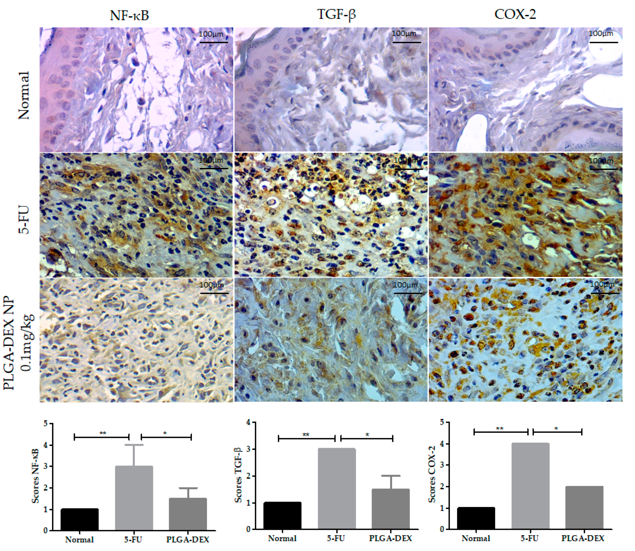Pharmaceutics 13 00053 g005
