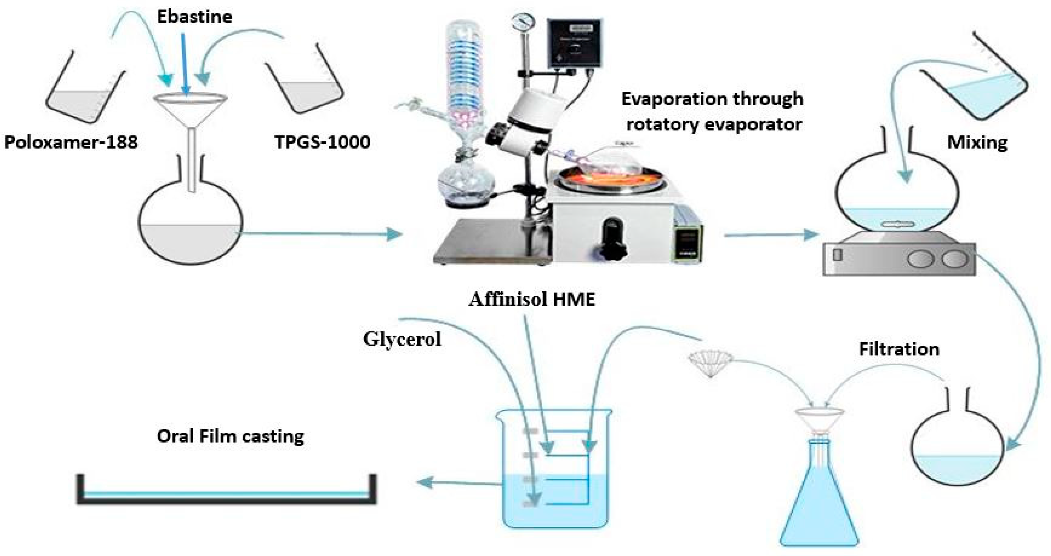 Pharmaceutics 13 00054 g001