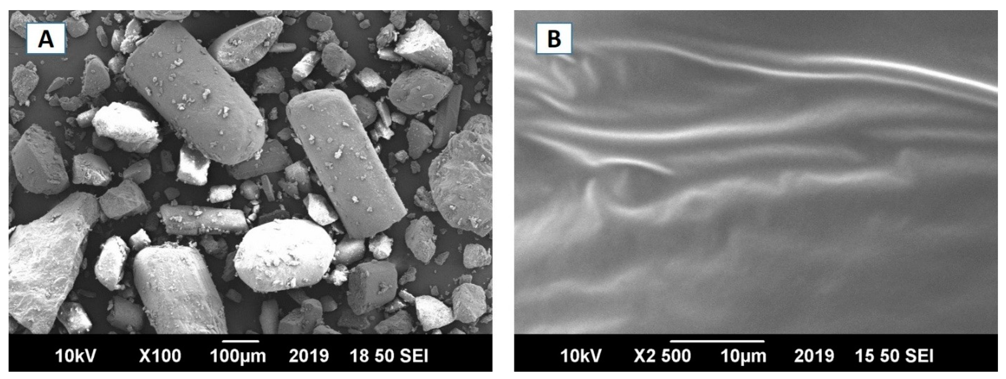 Pharmaceutics 13 00054 g003