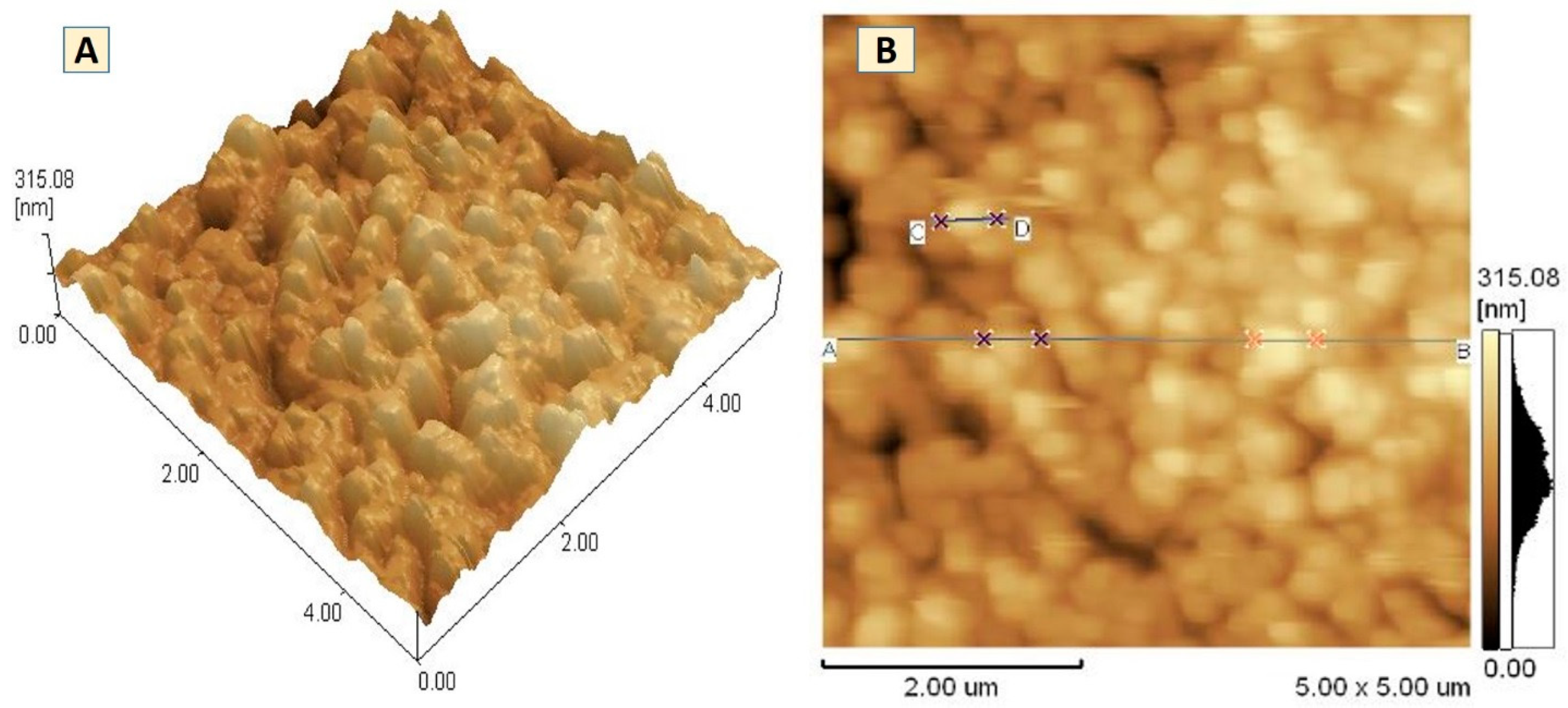 Pharmaceutics 13 00054 g008